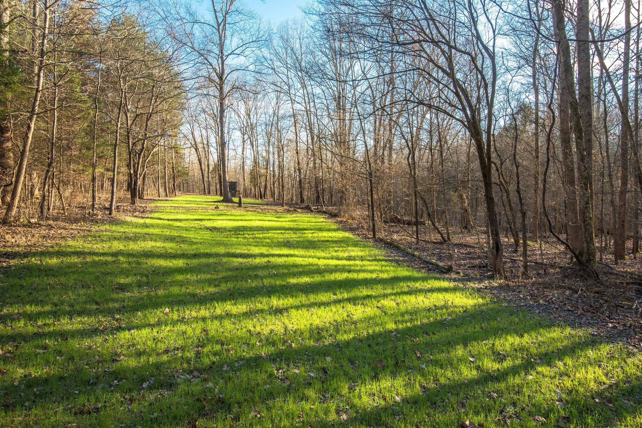 7165 Bahne Road Fairview, TN 37062 - Photo 3 of 21 This area is more beautiful than a park. Total seclusion with the creek just to the right