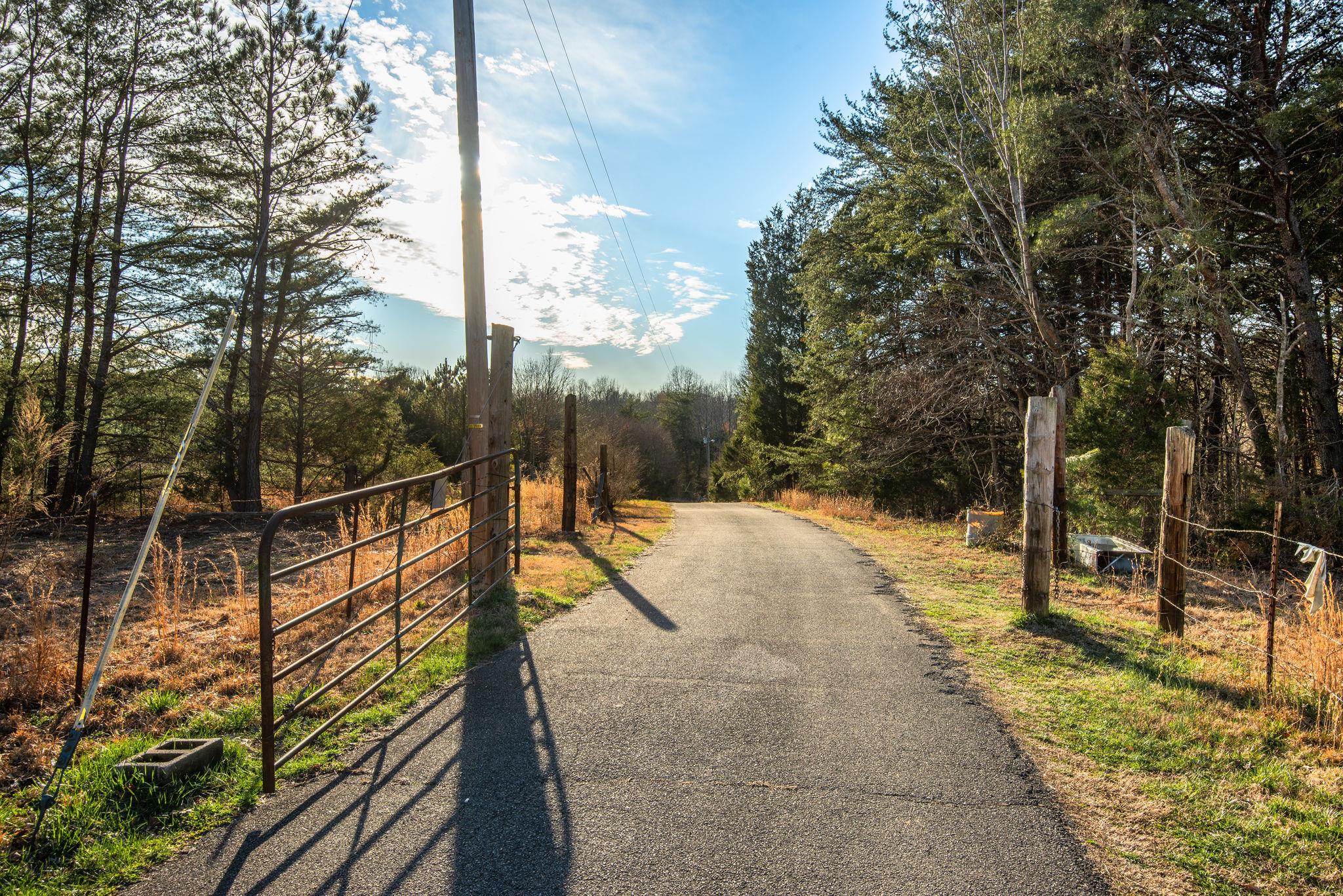 7165 Bahne Road Fairview, TN 37062 - Photo 4 of 21 Standing at the road facing the driveway into the property