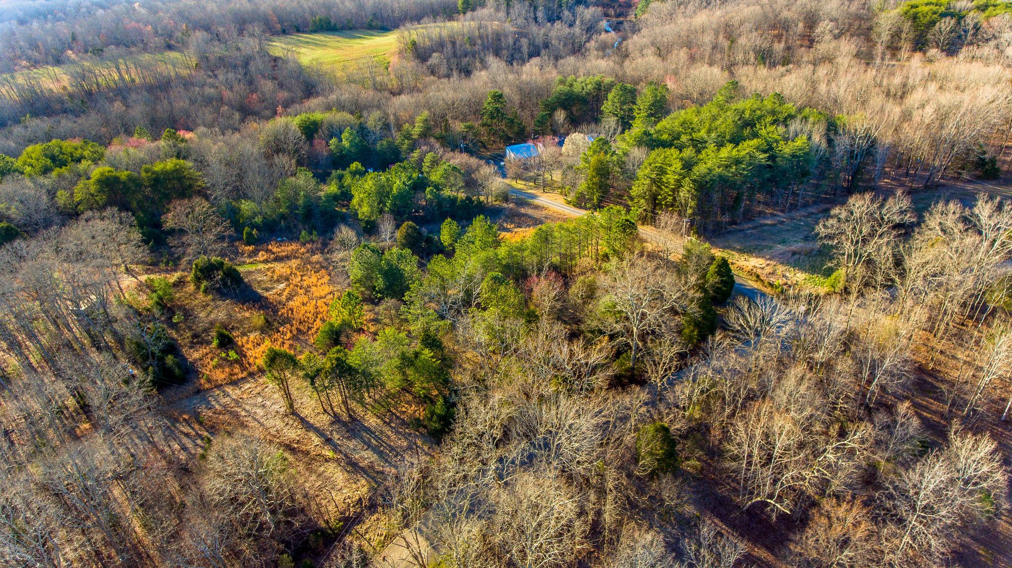 7165 Bahne Road Fairview, TN 37062 - Photo 6 of 21 Gallery Image 6