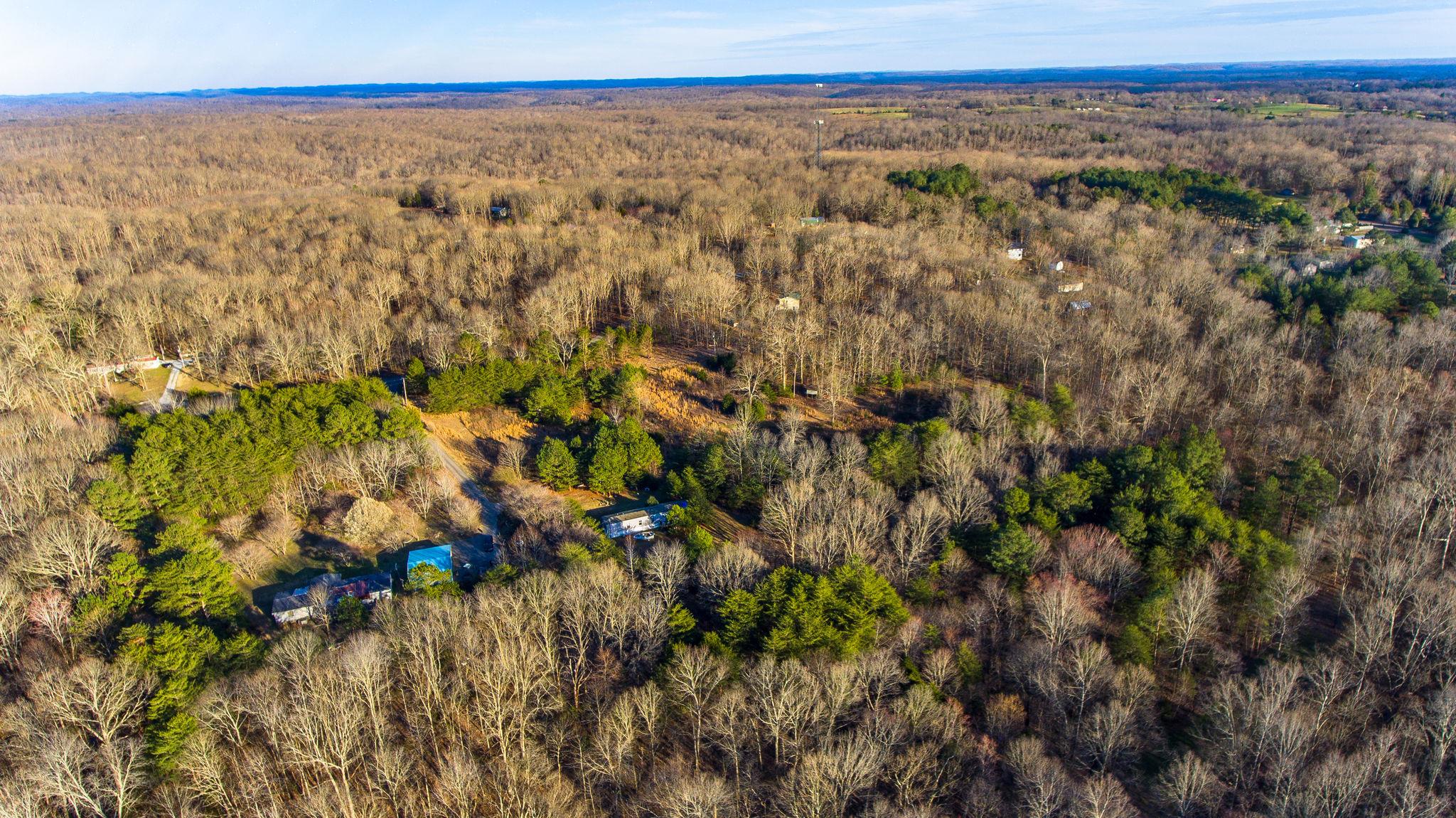 7165 Bahne Road Fairview, TN 37062 - Photo 10 of 21 Gallery Image 10