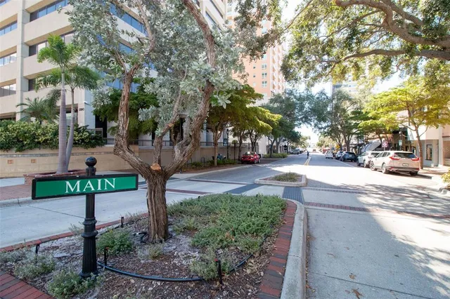 a view of park with tree s