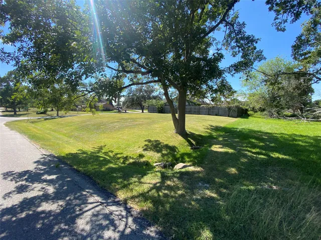 a view of a trees with a yard