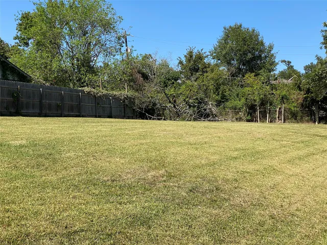 a view of a yard with a trees