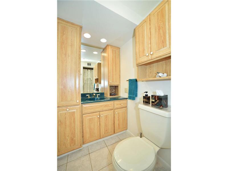 6635 Landview Road Pittsburgh, PA 15217 - Photo 14 of 17 Master Bath/Spa.
