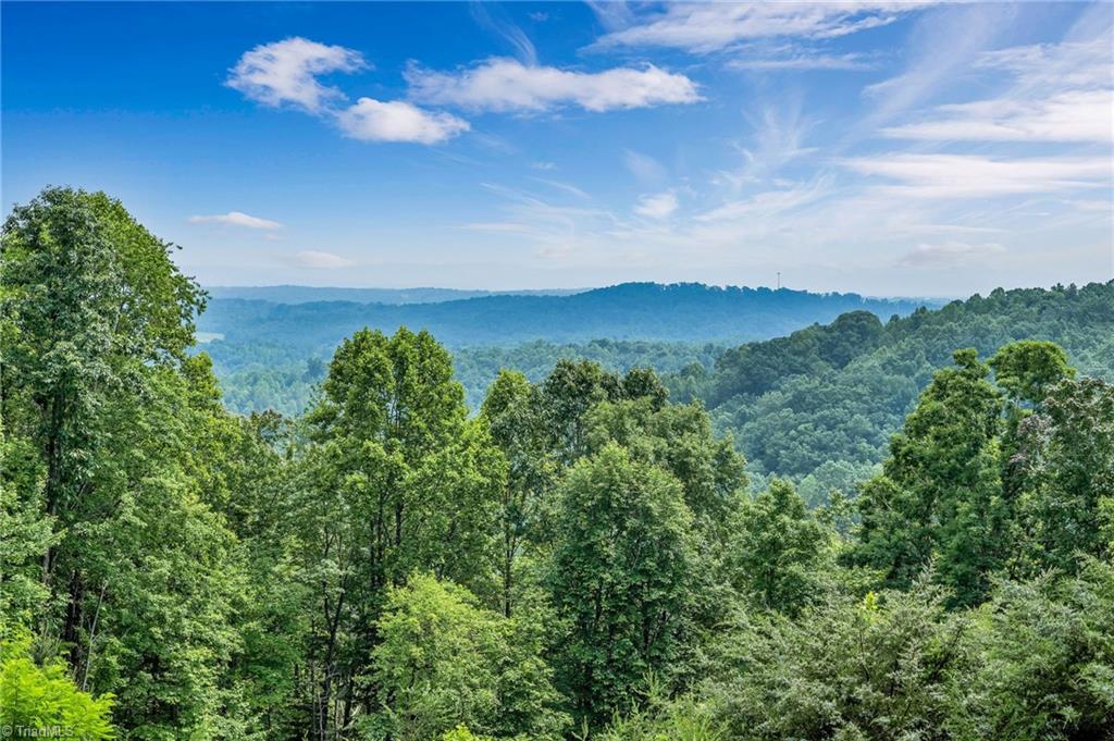 847 Overland Trail Hays, NC 28635 - Photo 4 of 48