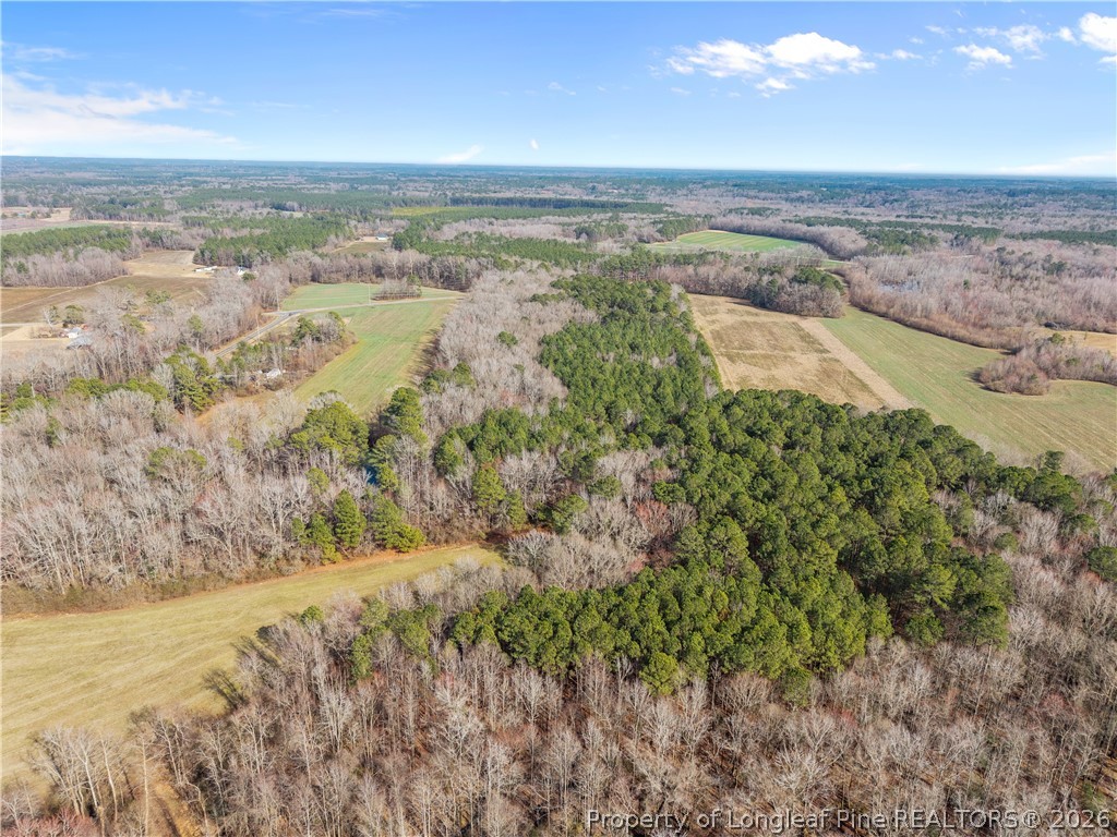 1896-0 Clark Road Lillington, NC 27546 - Photo 4 of 9