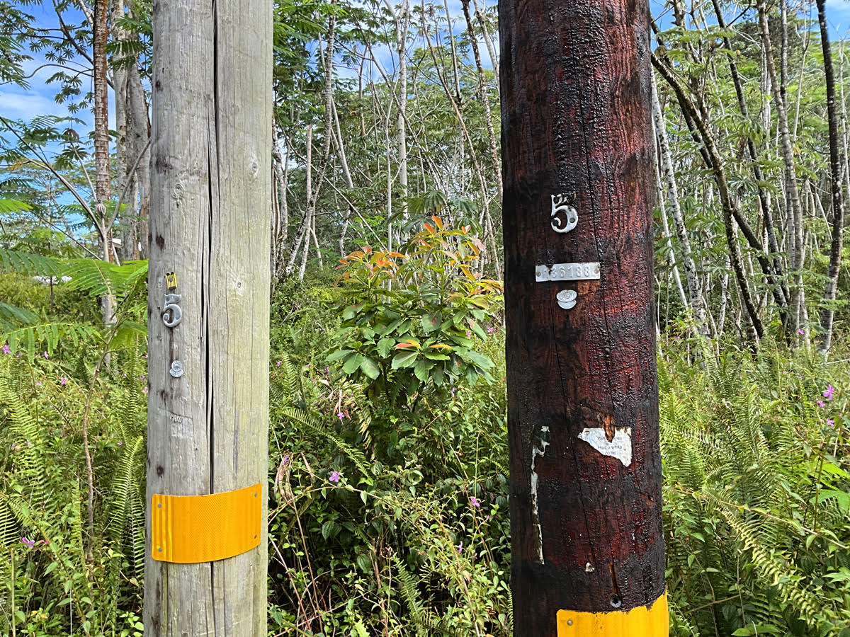 541 Mauna Kea Road Pahoa, HI 96778 - Photo 3 of 6