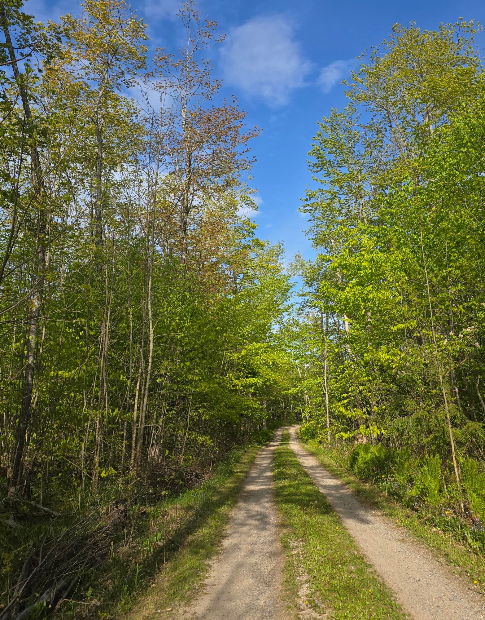 N1746 Smith Road St. Ignace, MI 49781 - Photo 19 of 88 20250529_182824
