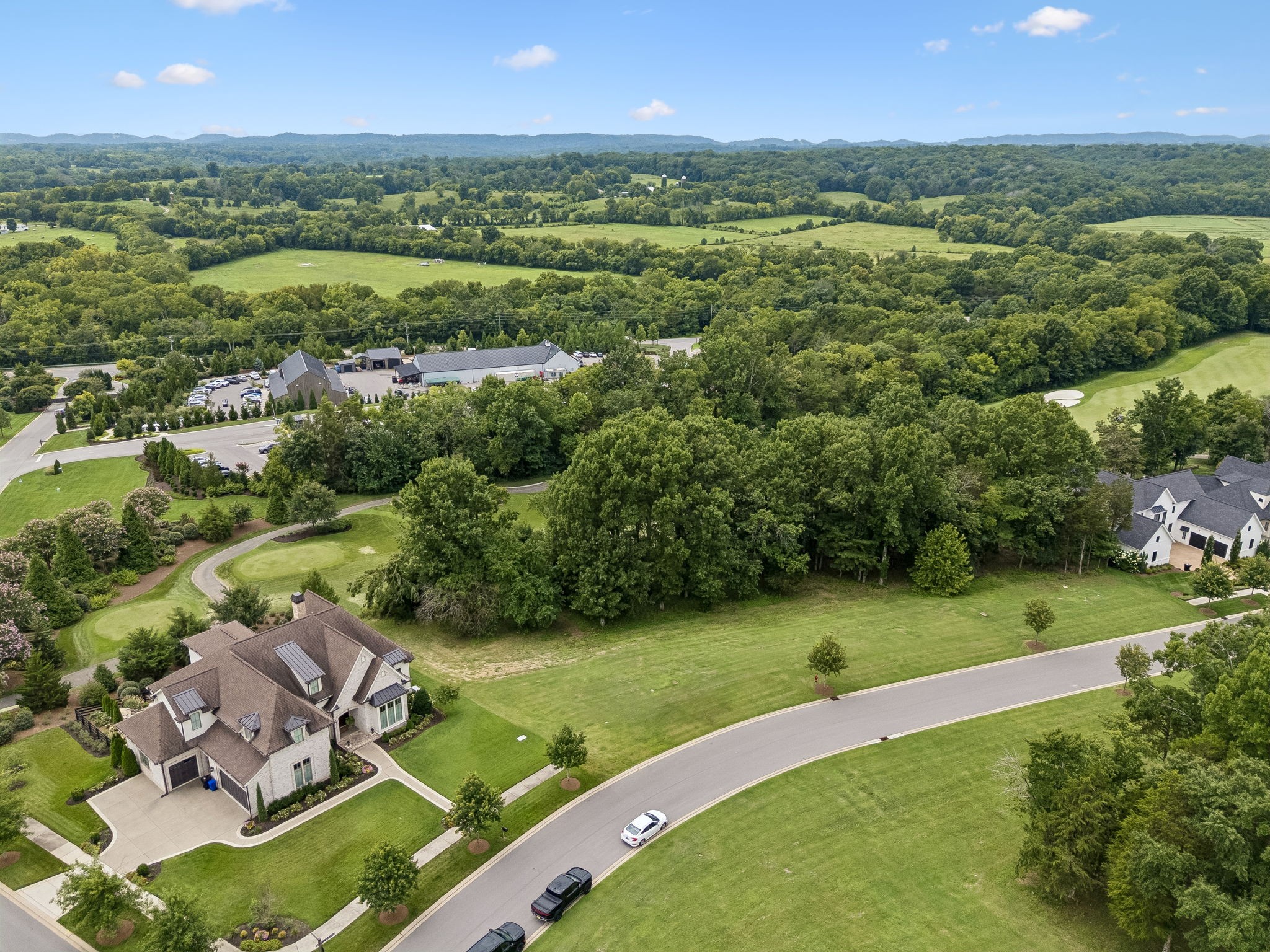 7505 Whiskey Road College Grove, TN 37046 - Photo 4 of 33 Gallery Image 4