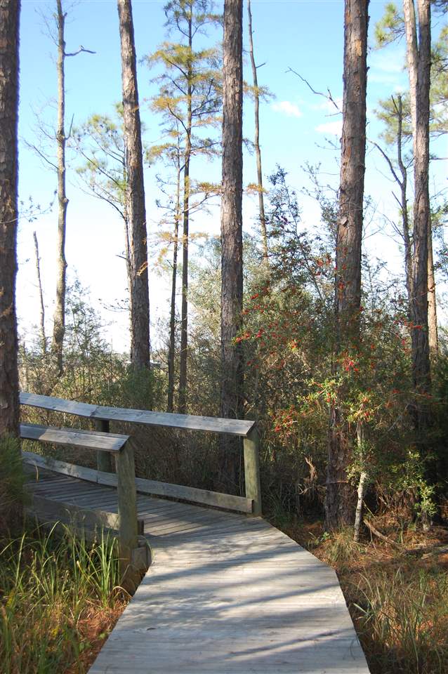 80 Treasure Oaks Road Gulf Shores, AL 36542 - Photo 2 of 18