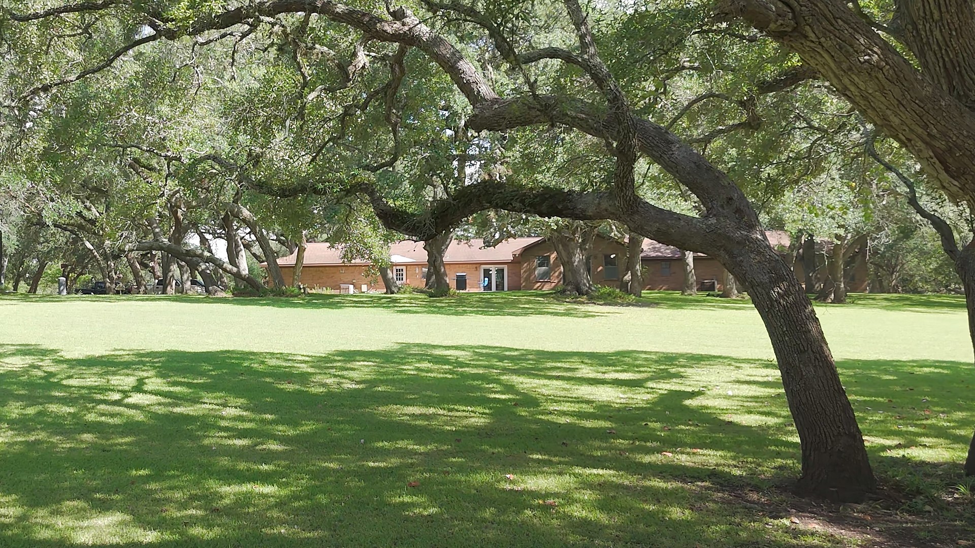 406 Wilson Creek Road Palacios, TX 77465 - Photo 13 of 49 a view of a trees with a yard