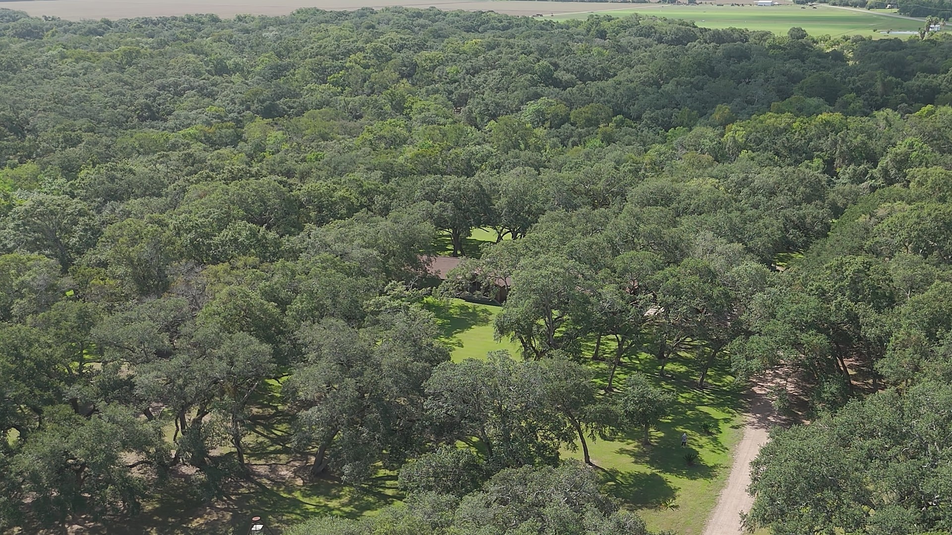 406 Wilson Creek Road Palacios, TX 77465 - Photo 15 of 49 a view of a forest with a street
