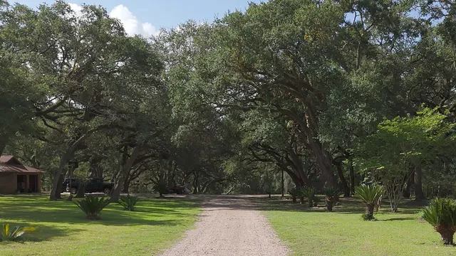 a view of a field with an trees