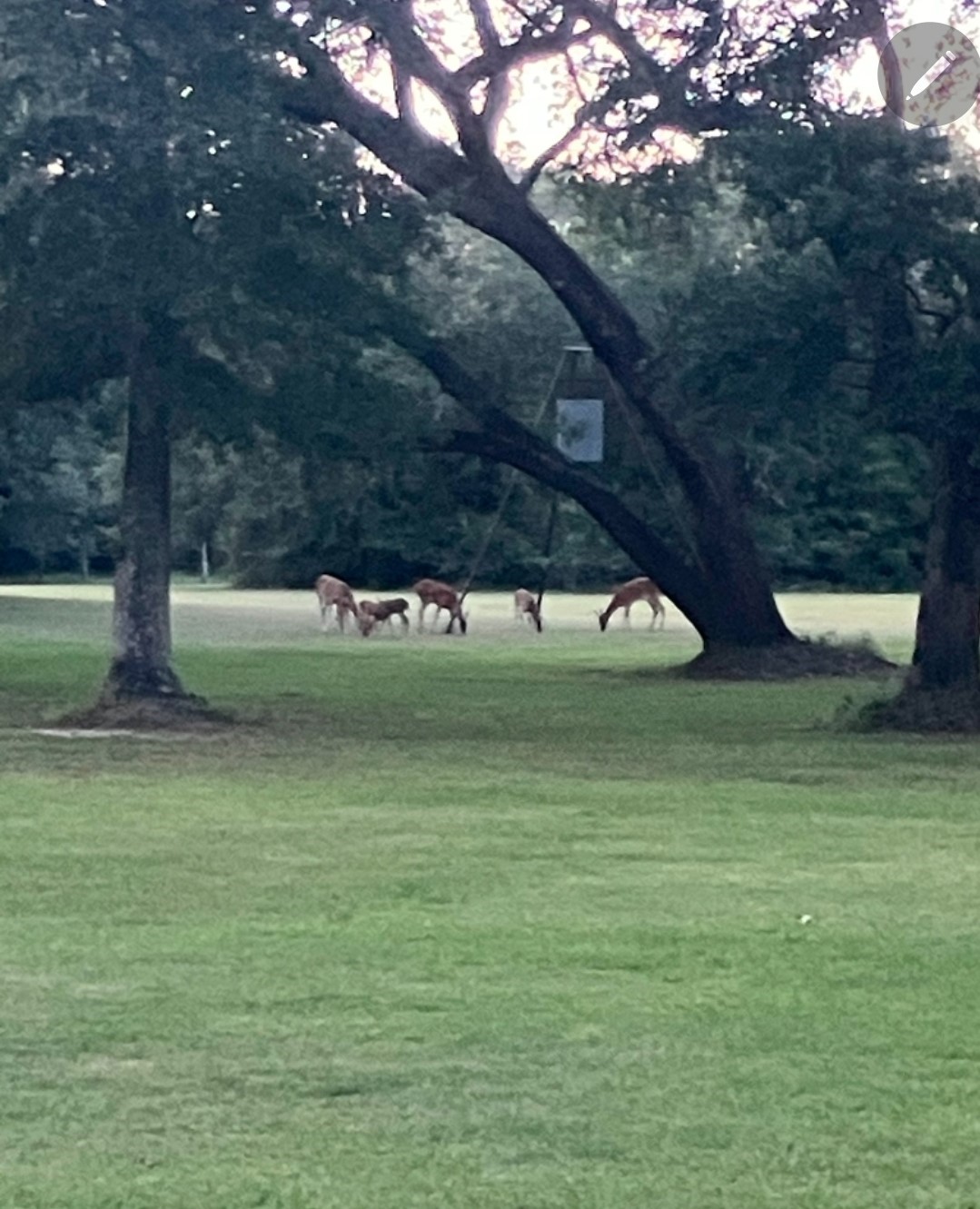 406 Wilson Creek Road Palacios, TX 77465 - Photo 4 of 49 a view of three house with a yard