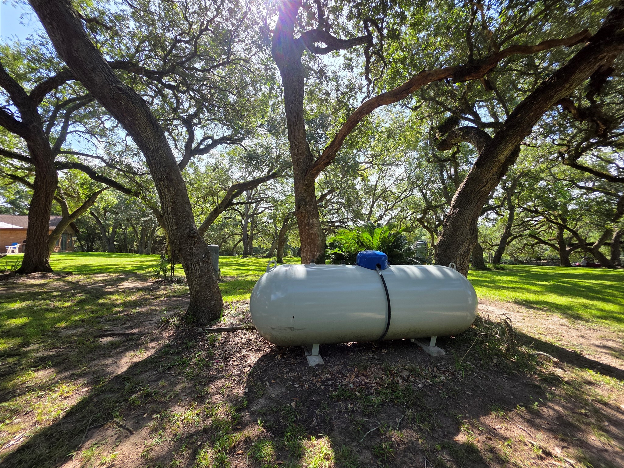 406 Wilson Creek Road Palacios, TX 77465 - Photo 49 of 49 a view of a backyard with large trees