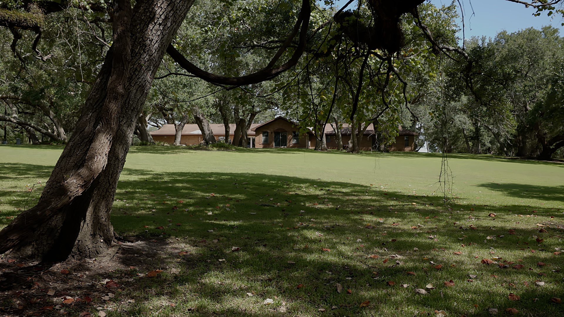 406 Wilson Creek Road Palacios, TX 77465 - Photo 6 of 49 a view of a field with an trees
