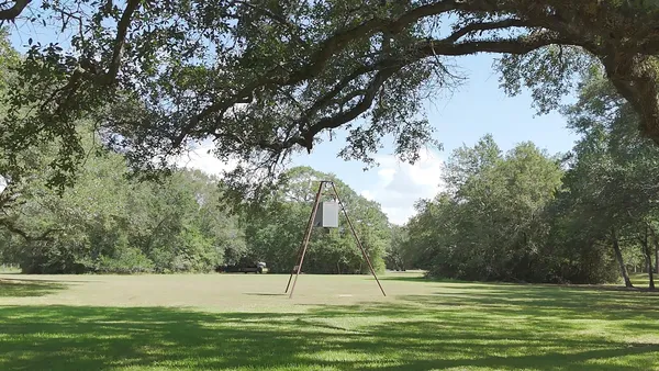 a view of a backyard with potted plants and large tree