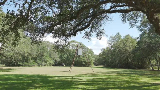a view of a lake with a tree