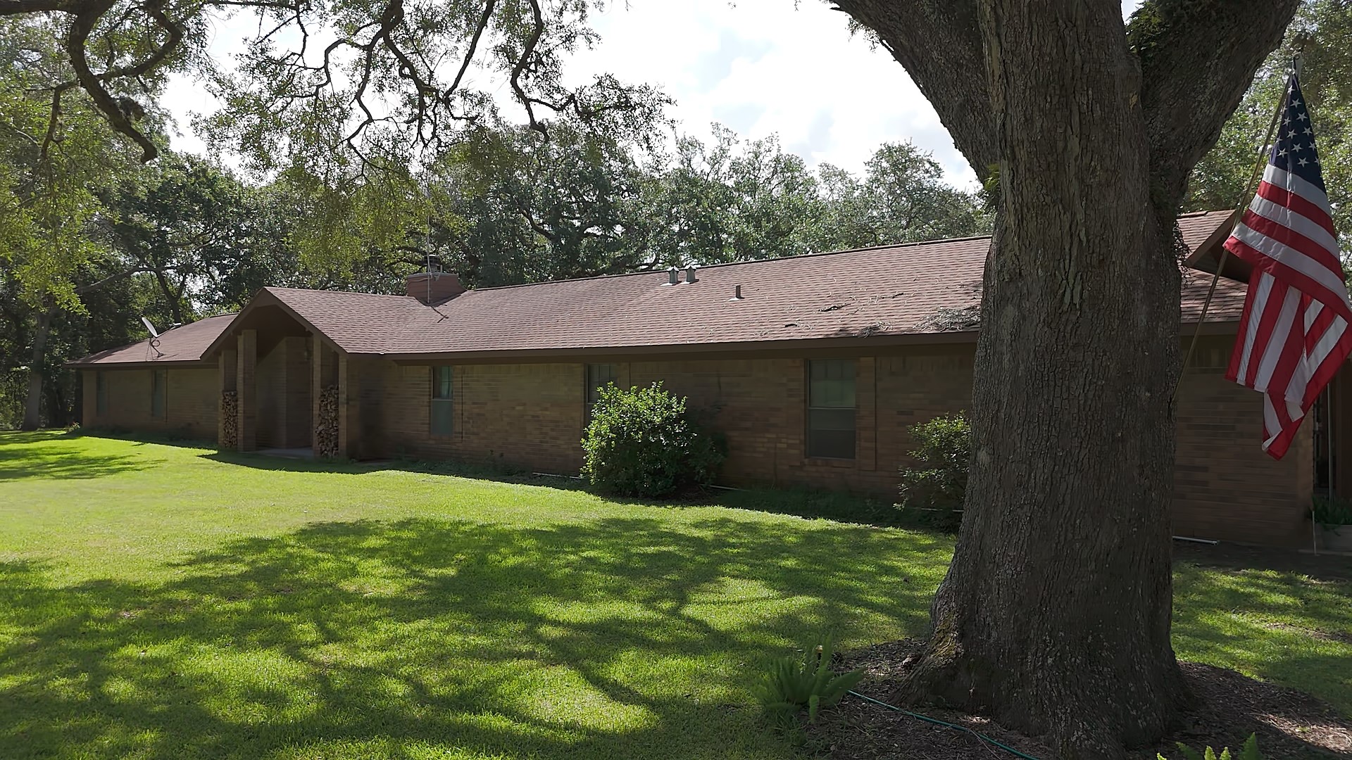 406 Wilson Creek Road Palacios, TX 77465 - Photo 10 of 49 a view of a backyard with potted plants and large tree