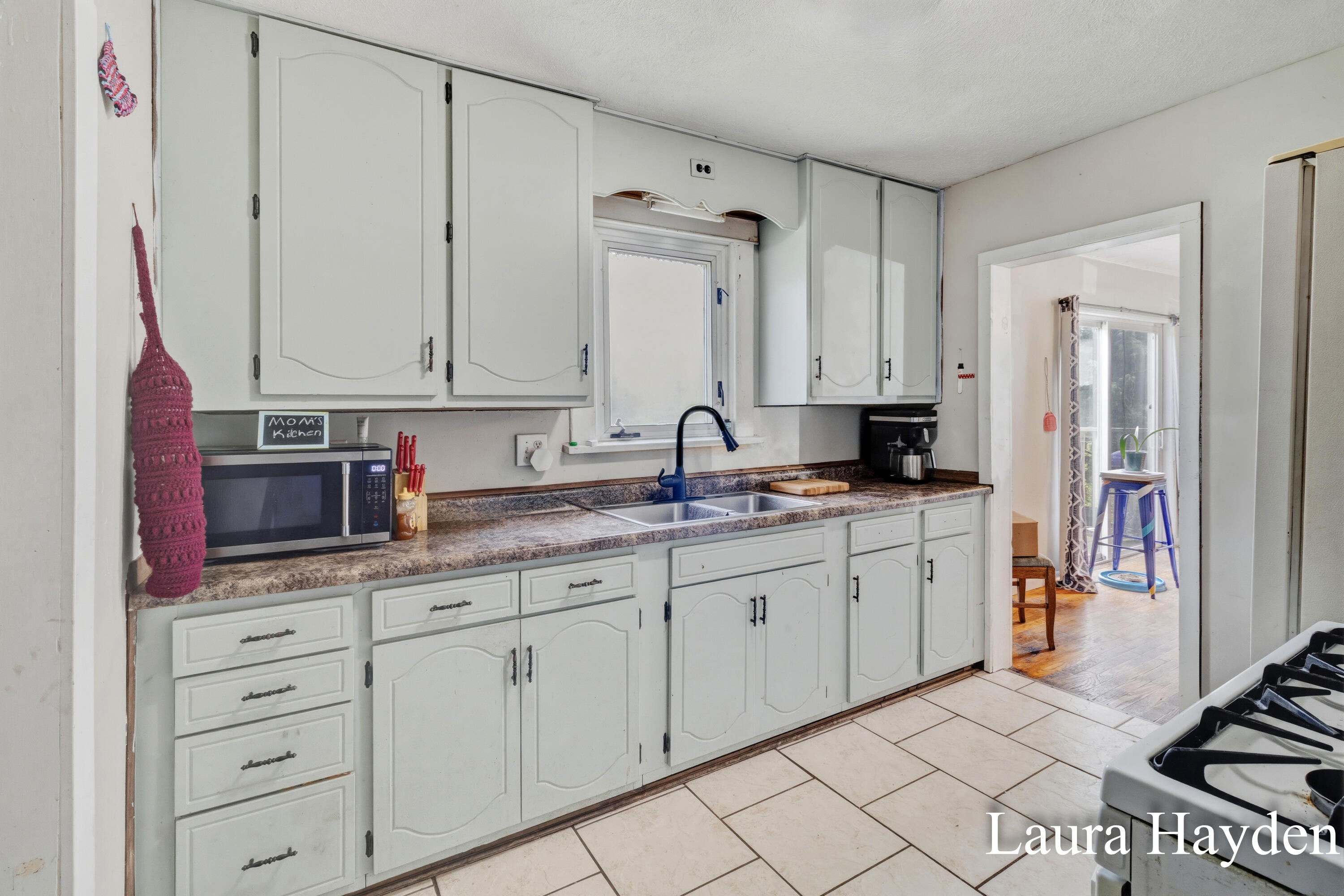 1367 East Riverside Drive Ionia, MI 48846 - Photo 11 of 46 Laura Hayden - 1367 Riverside Drive (46)