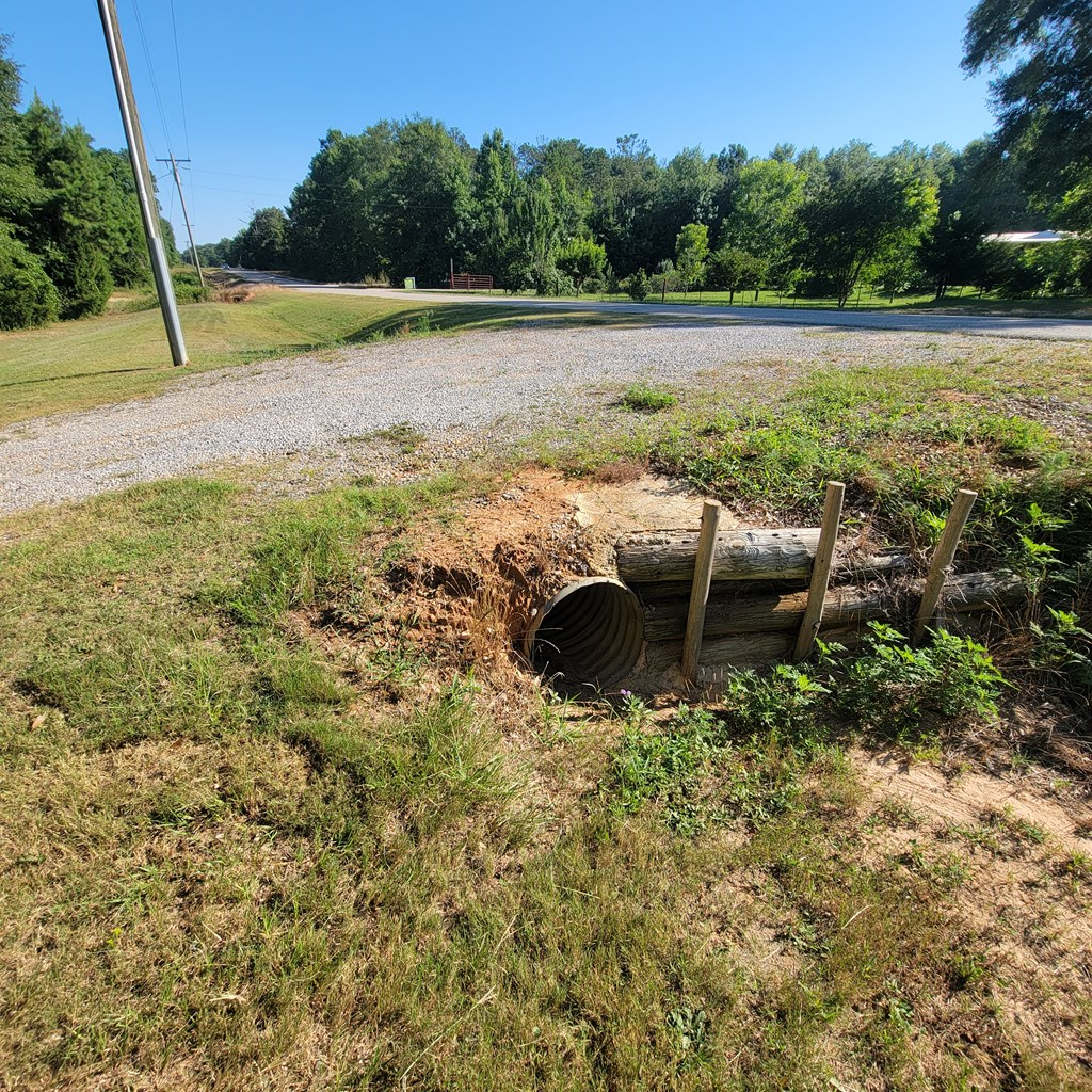 10355 County Road 97 Abbeville, AL 36310 - Photo 13 of 16