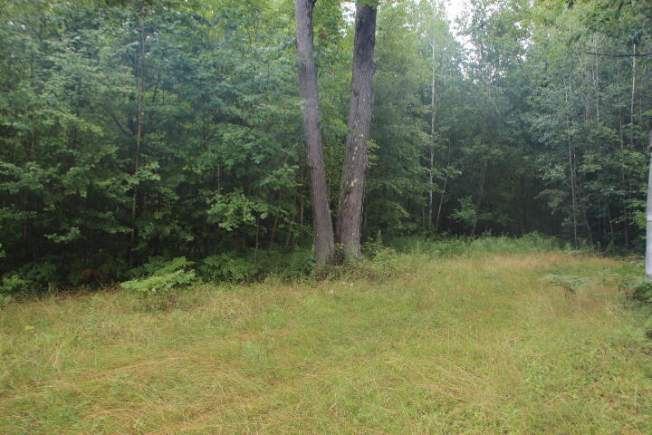 -vl James Road Hillman, MI 49746 - Photo 15 of 25 IMG_0655