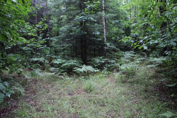 -vl James Road Hillman, MI 49746 - Photo 17 of 25 IMG_0673