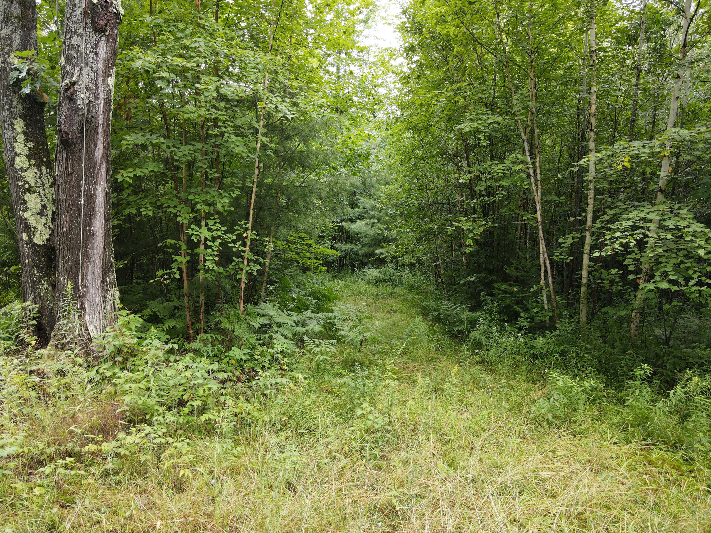 -vl James Road Hillman, MI 49746 - Photo 23 of 25 LUDR9036
