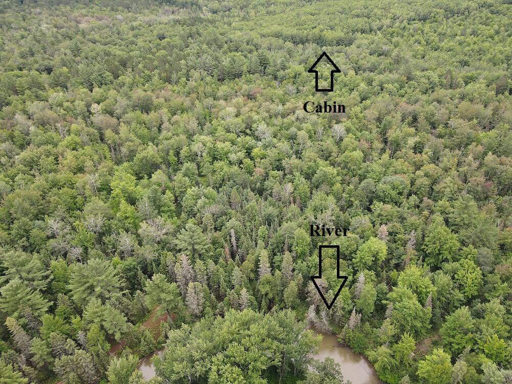 -vl James Road Hillman, MI 49746 - Photo 25 of 25 River