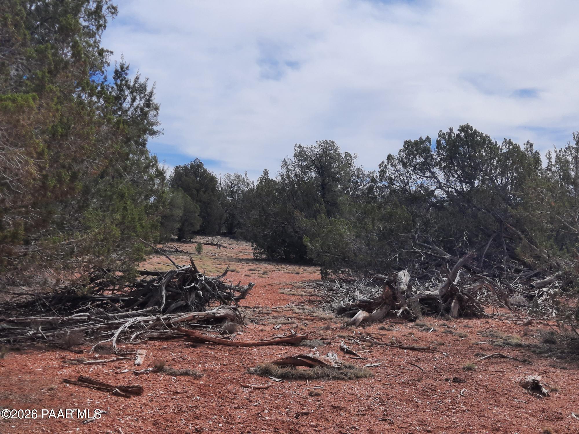 54255 Castano Road Seligman, AZ 86337 - Photo 1 of 11 cover