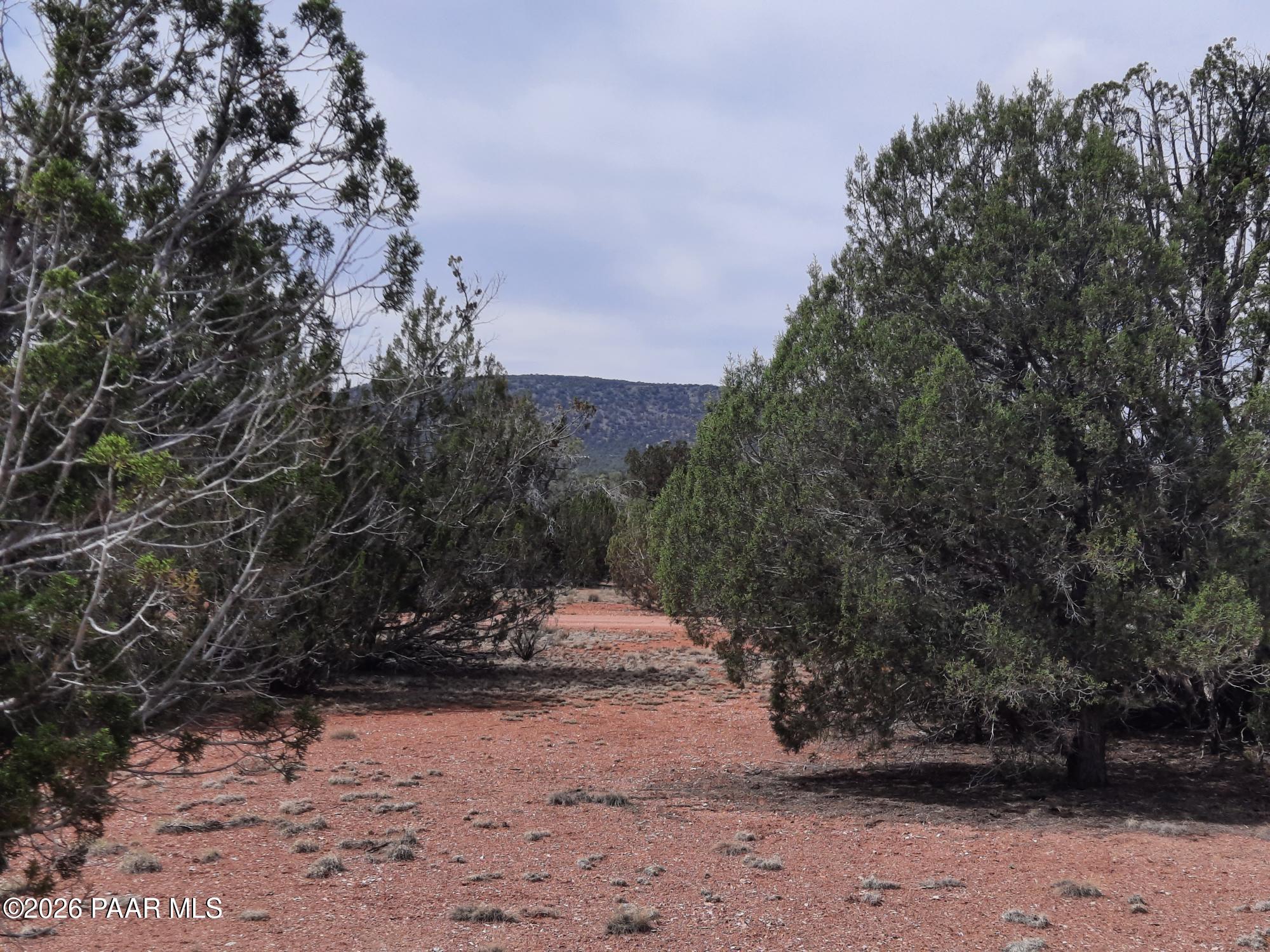 54255 Castano Road Seligman, AZ 86337 - Photo 2 of 11 20260402_110642