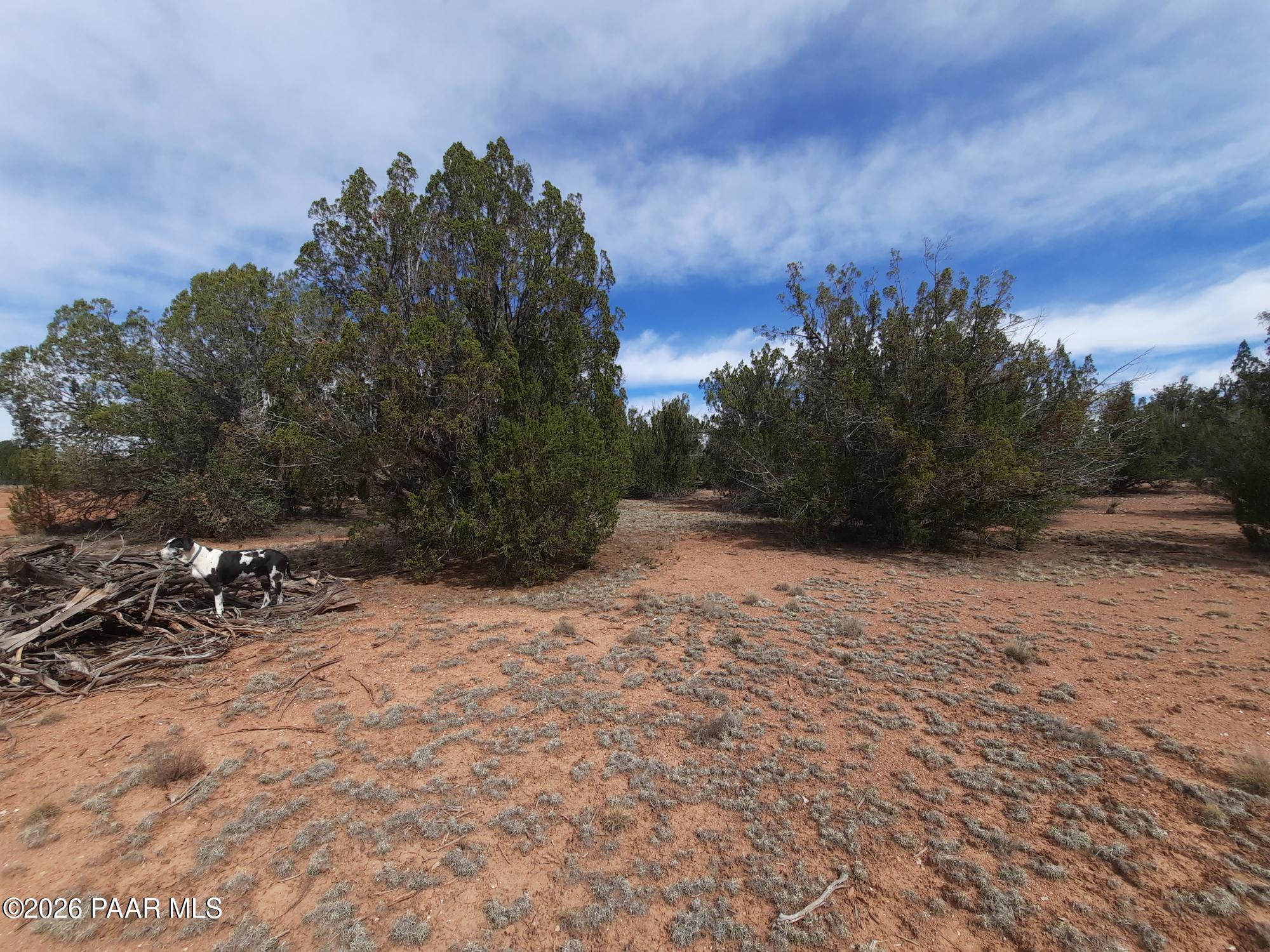 54255 Castano Road Seligman, AZ 86337 - Photo 3 of 11 20260402_110034