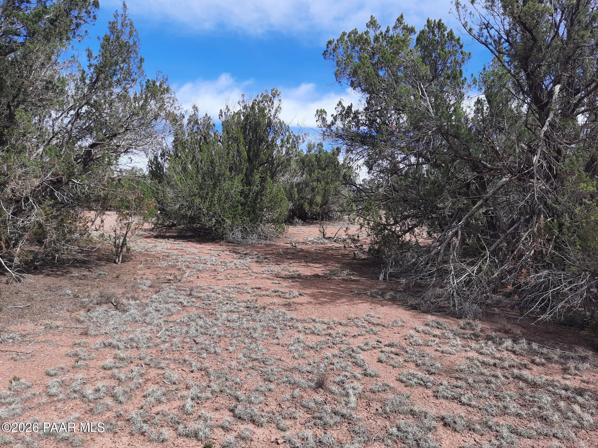 54255 Castano Road Seligman, AZ 86337 - Photo 4 of 11 20260402_110109