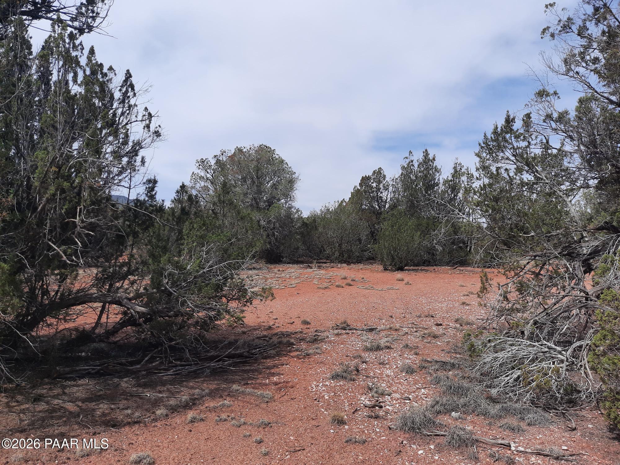 54255 Castano Road Seligman, AZ 86337 - Photo 6 of 11 20260402_110253