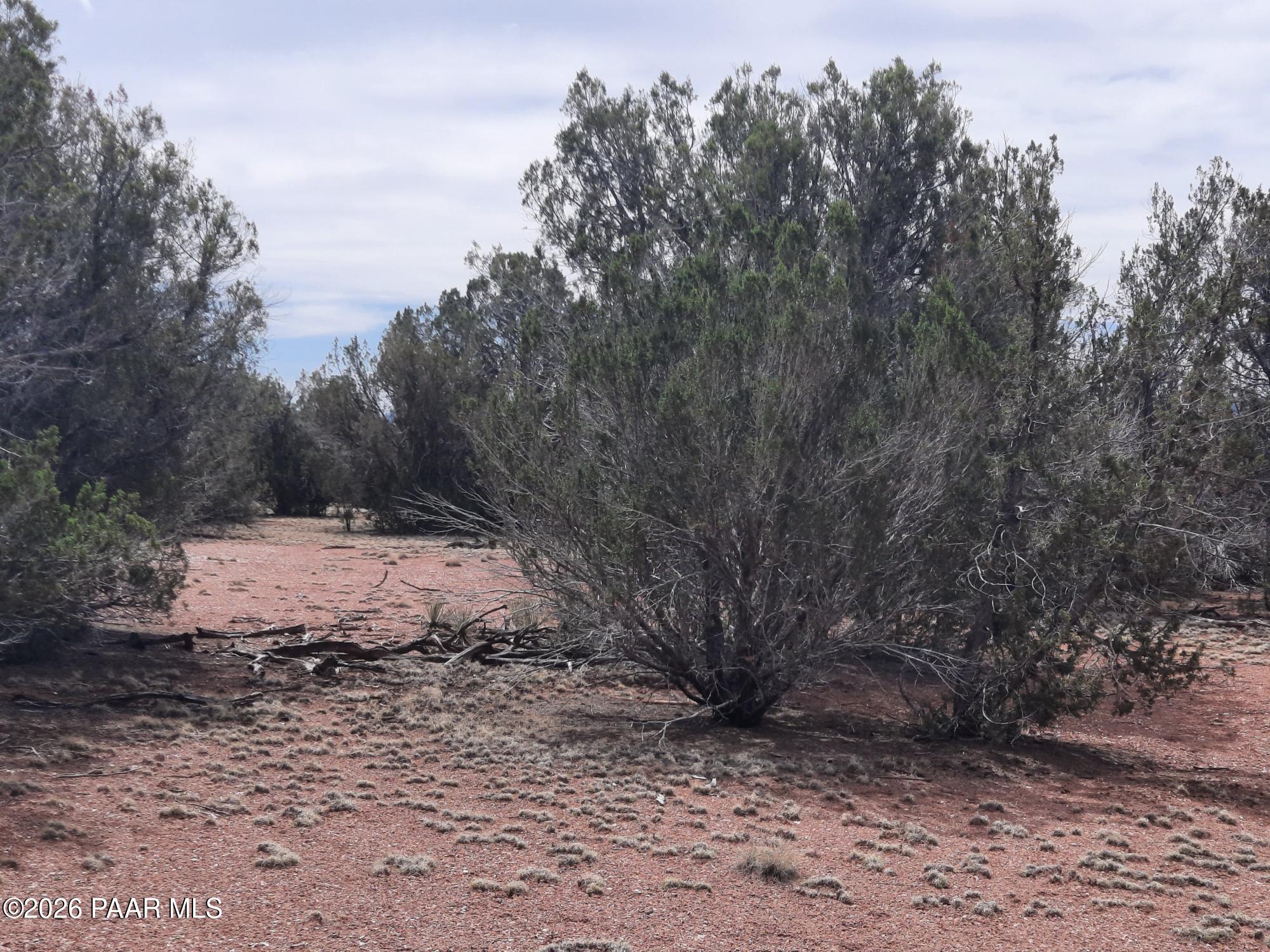 54255 Castano Road Seligman, AZ 86337 - Photo 7 of 11 20260402_110658