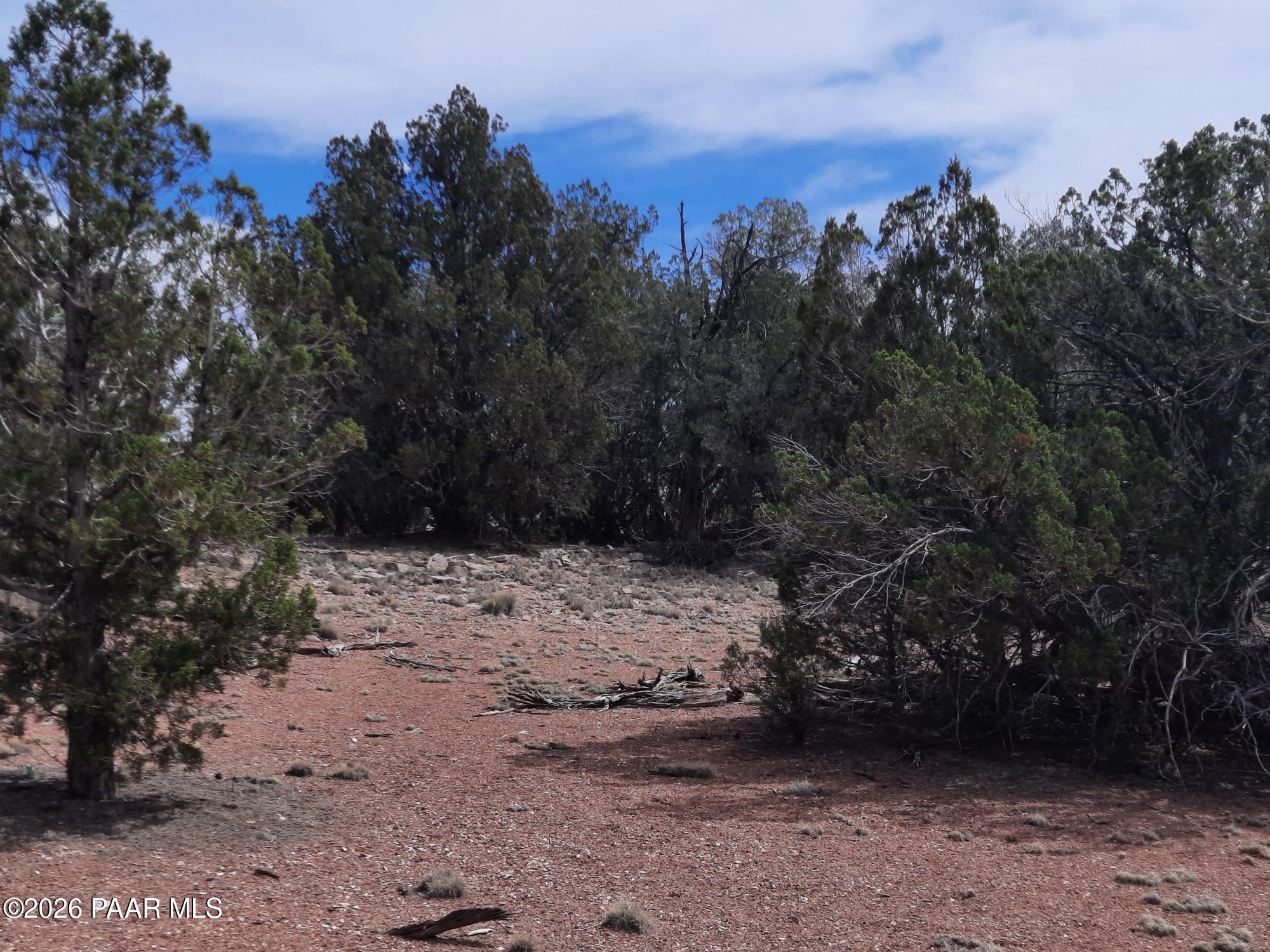 54255 Castano Road Seligman, AZ 86337 - Photo 8 of 11 20260402_110715