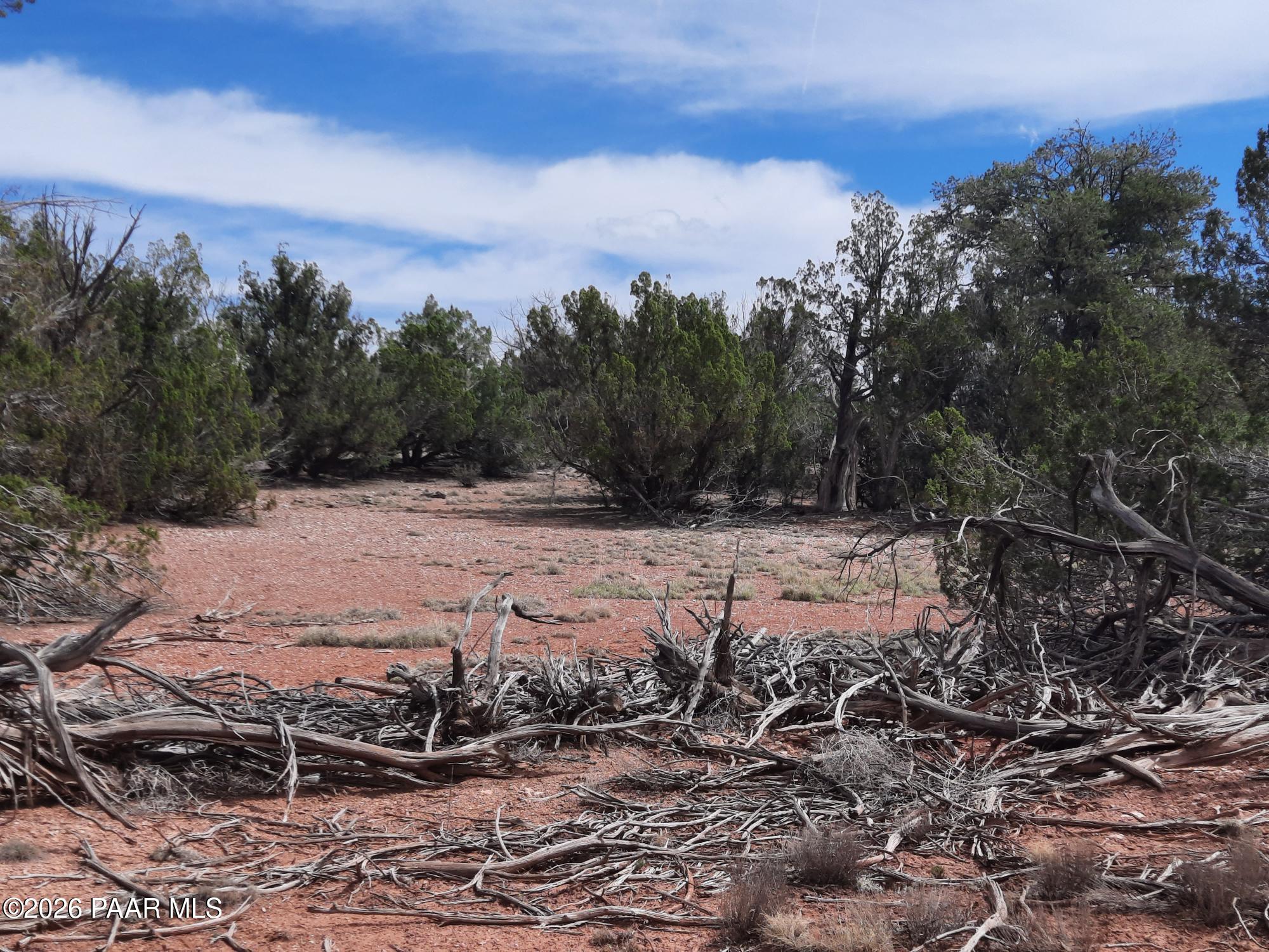 54255 Castano Road Seligman, AZ 86337 - Photo 9 of 11 20260402_110853