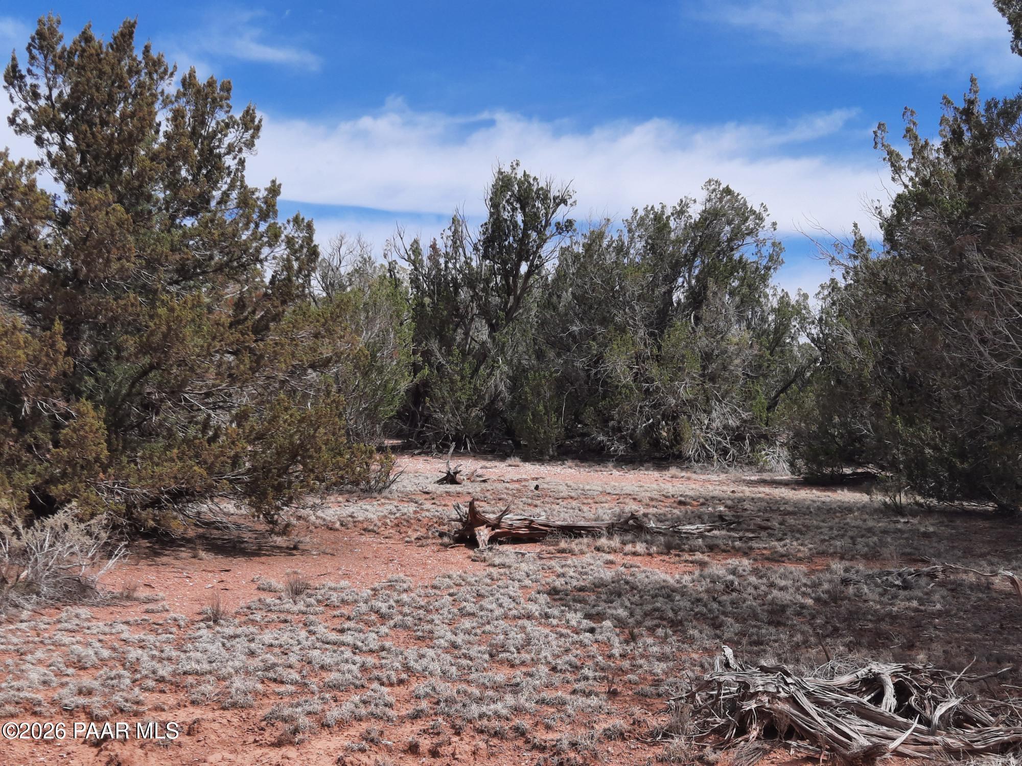 54255 Castano Road Seligman, AZ 86337 - Photo 10 of 11 20260402_111149