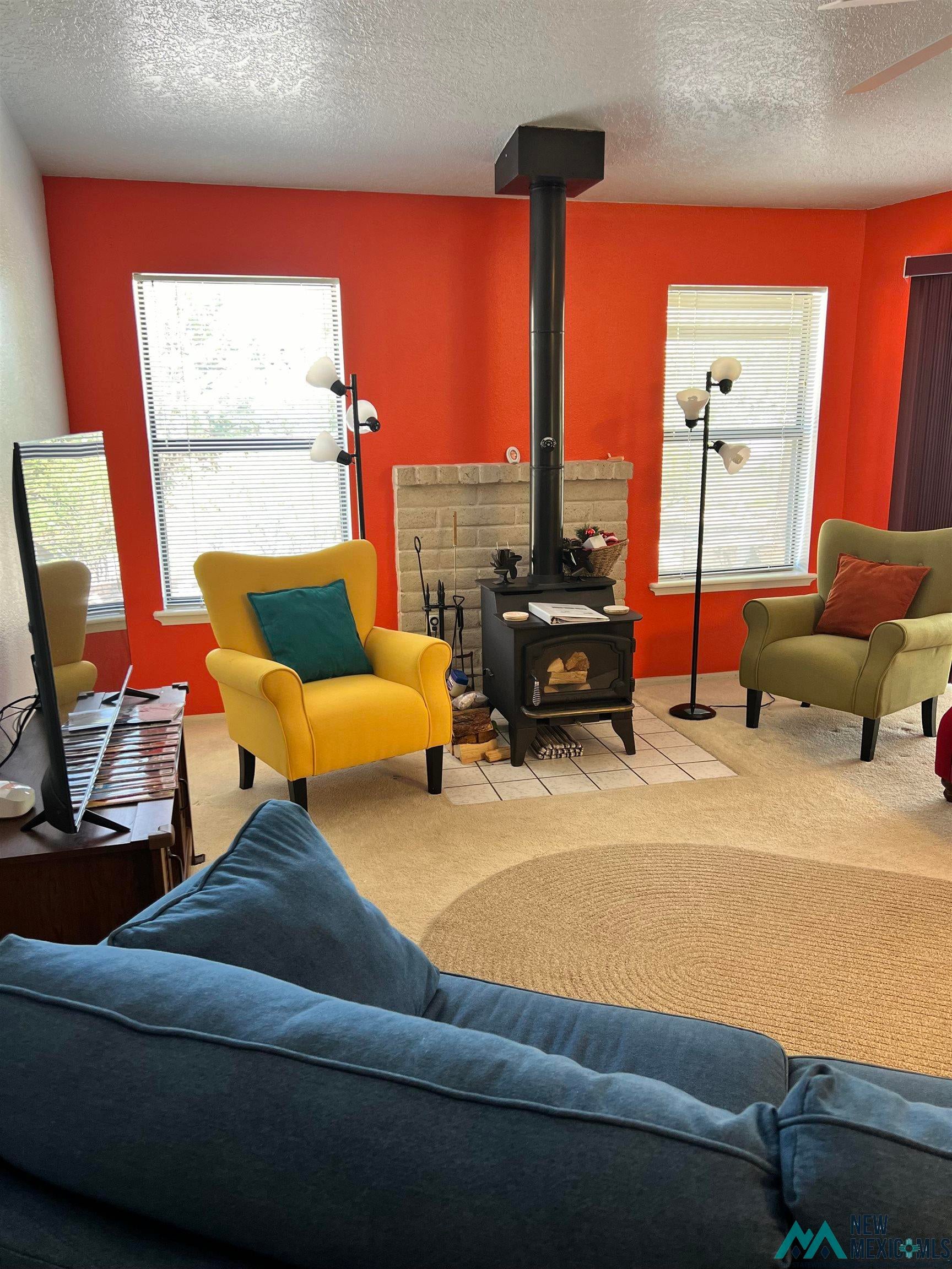 109 Mimbres Road Elephant Butte, NM 87935 - Photo 6 of 27 Carpeted living area with a wood stove and a textured ceiling