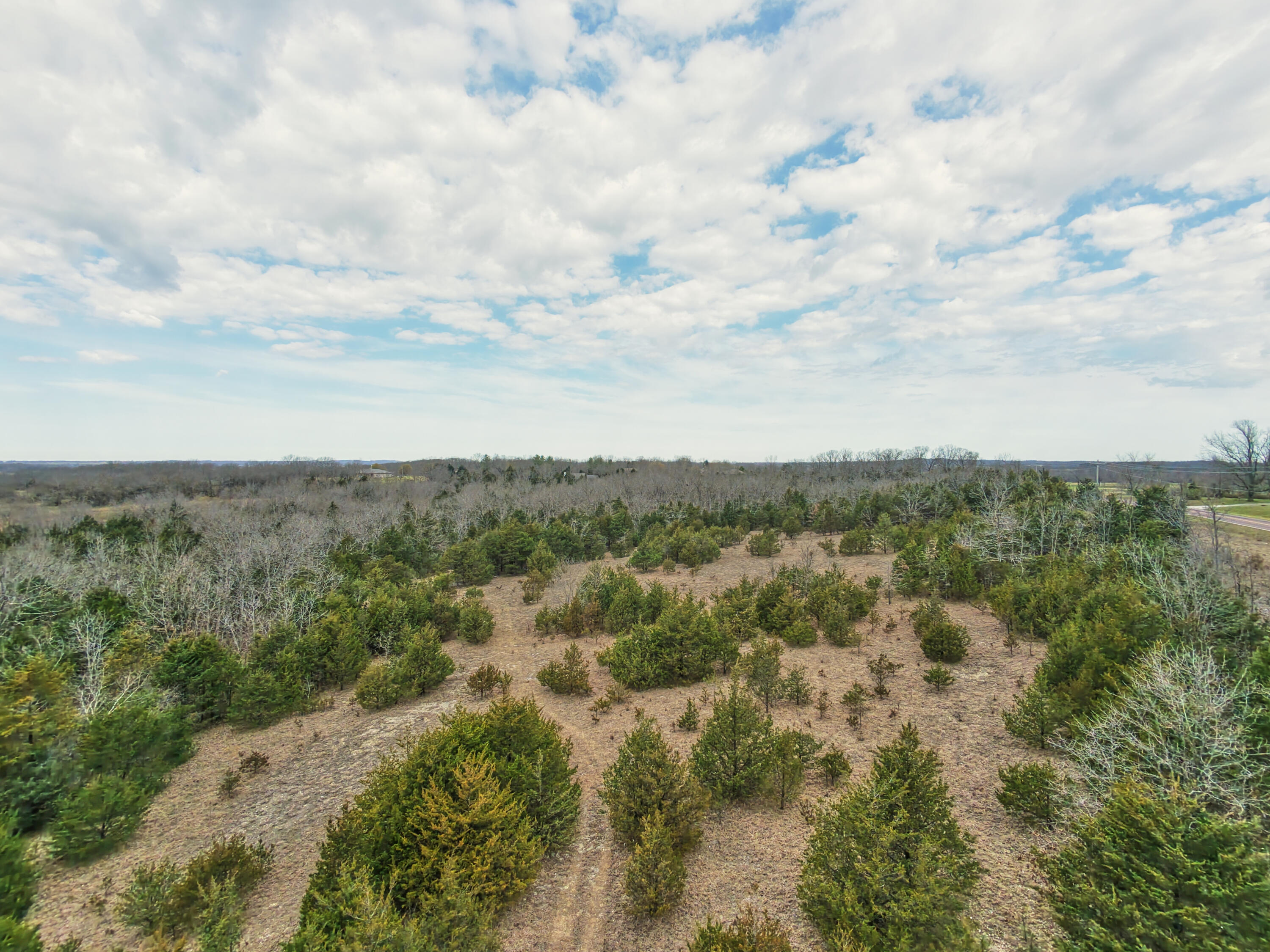11239 Stave Mill Road Mountain Grove, MO 65711 - Photo 5 of 13 DJI_20260324104225_0032_D