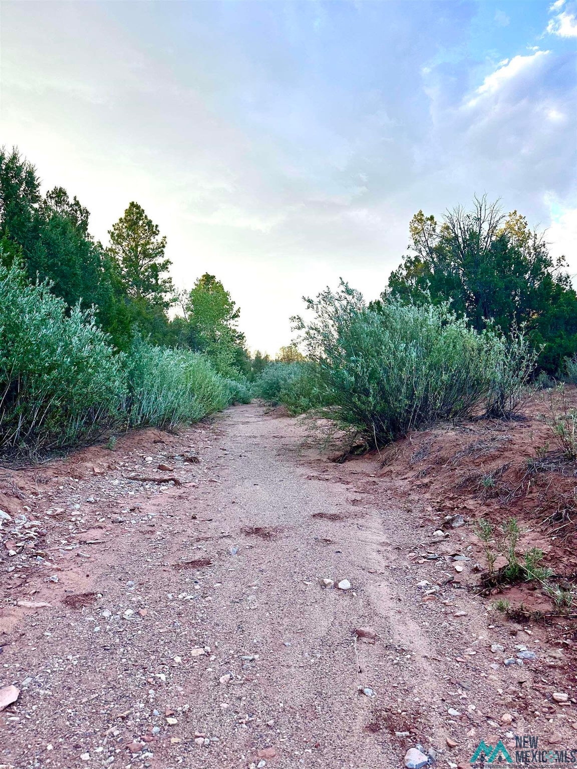 0 West Sena Ranch Road Serafina, NM 87569 - Photo 6 of 26 Gallery Image 6