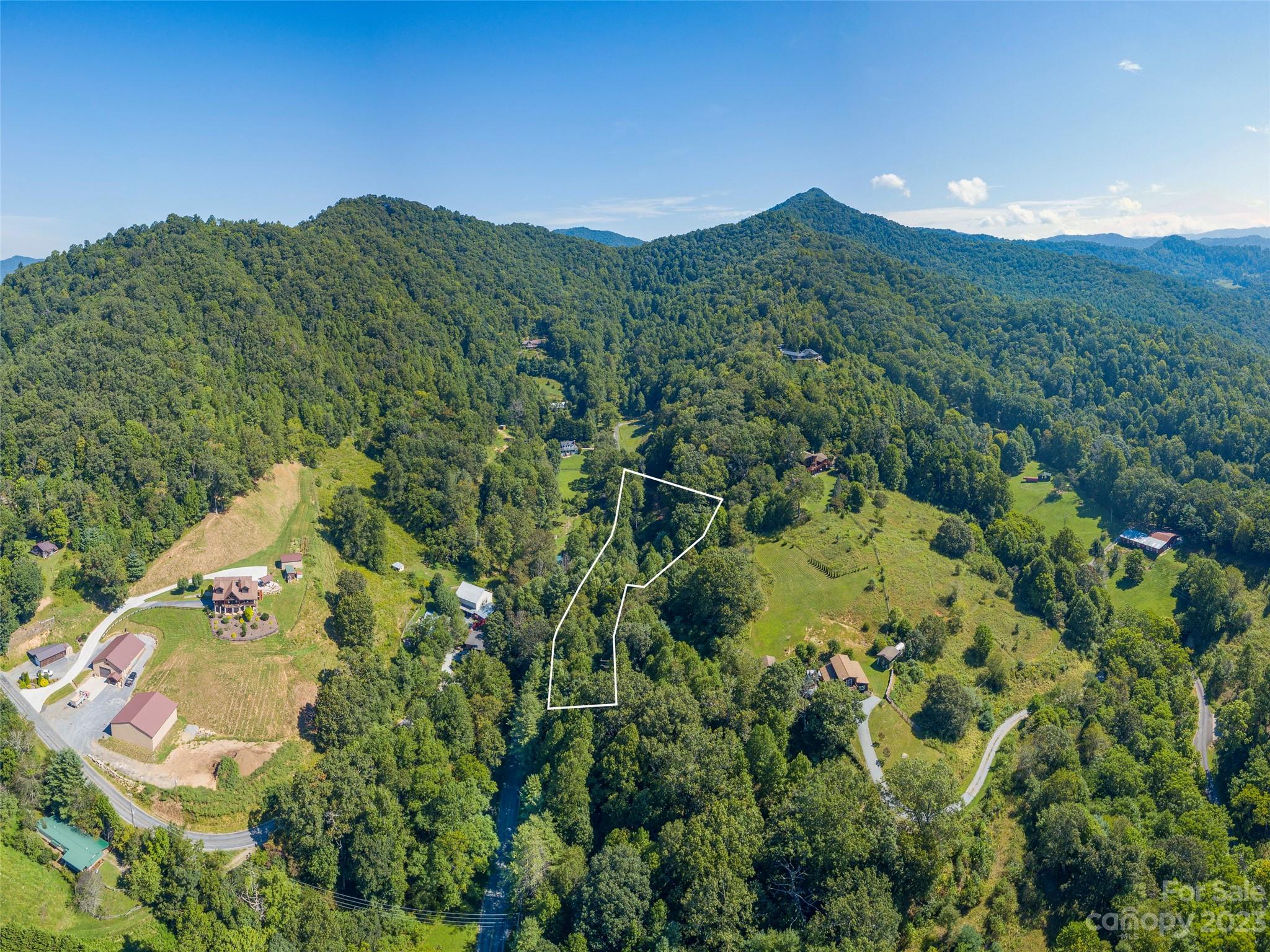 120 Walnut Ridge Drive Clyde, NC 28721 - Photo 11 of 13 a view of a lush green forest with mountains in the background