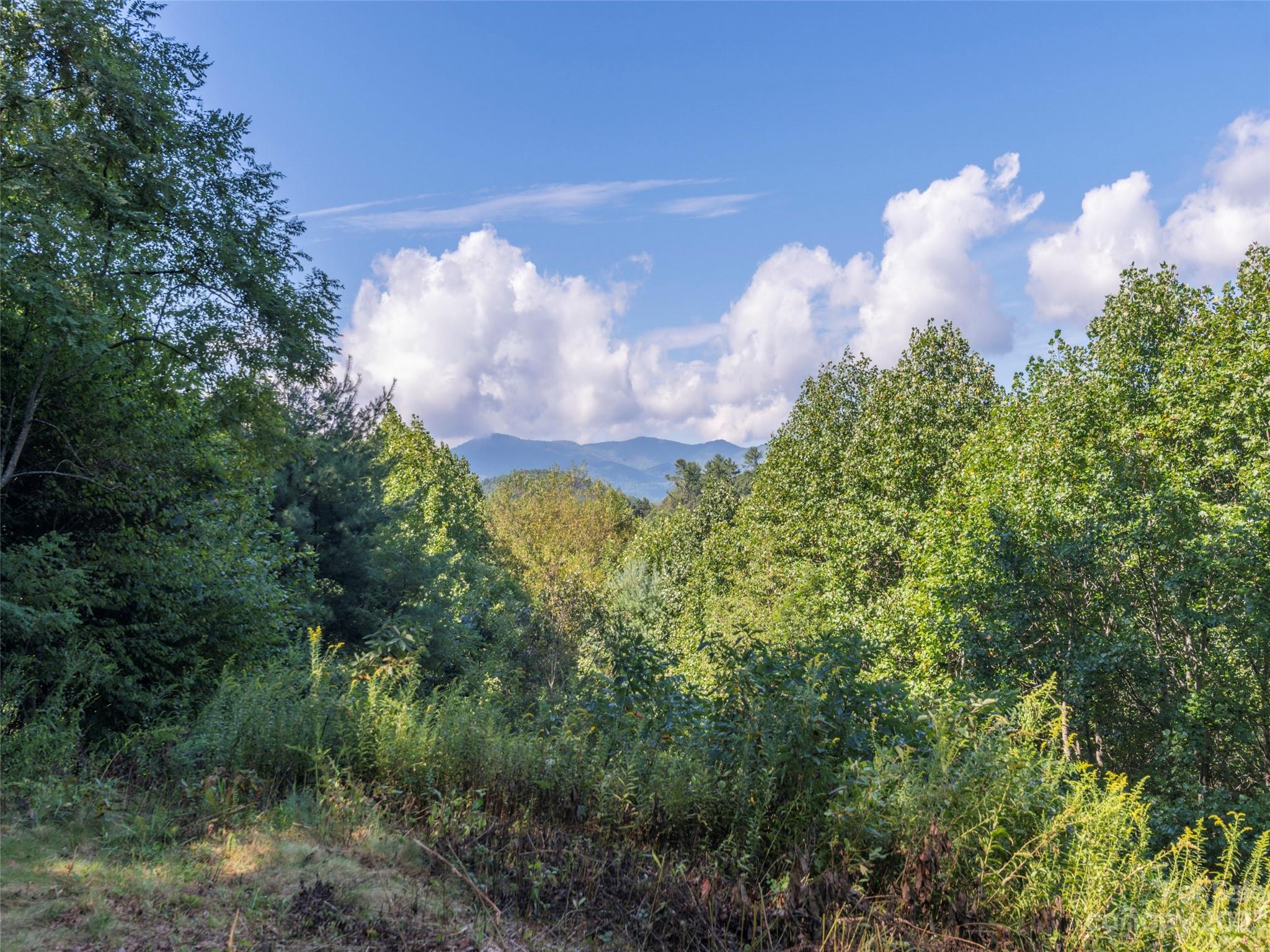 120 Walnut Ridge Drive Clyde, NC 28721 - Photo 2 of 13 a view of a bunch of flowers in middle
