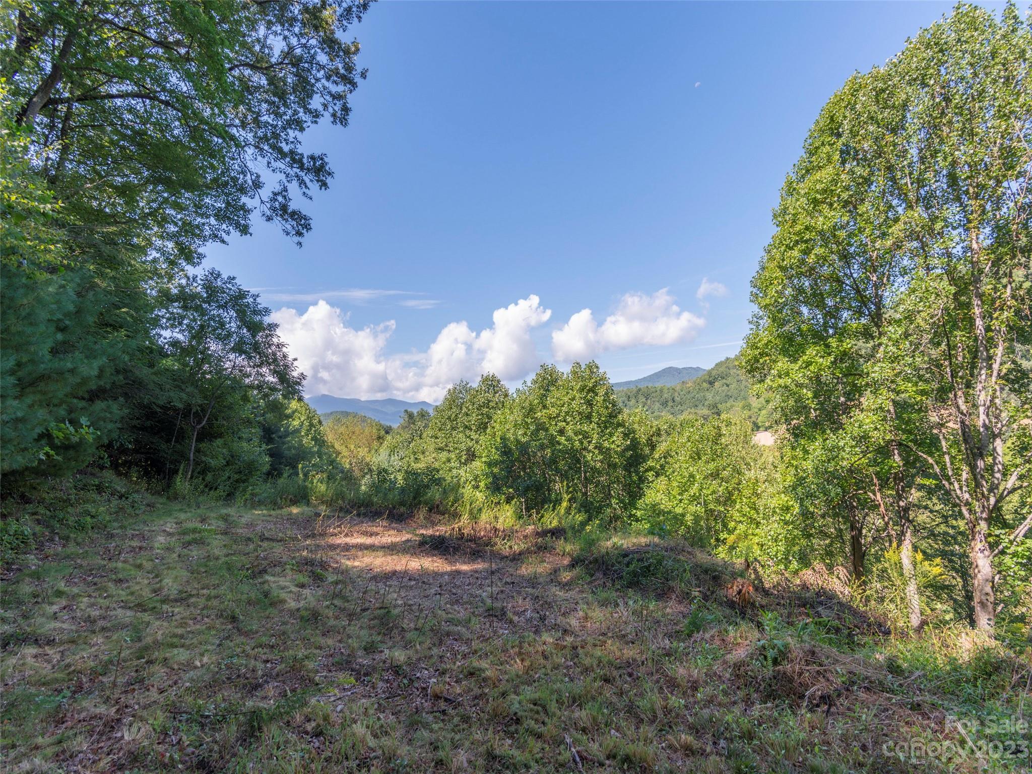 120 Walnut Ridge Drive Clyde, NC 28721 - Photo 3 of 13 a view of a yard with a tree
