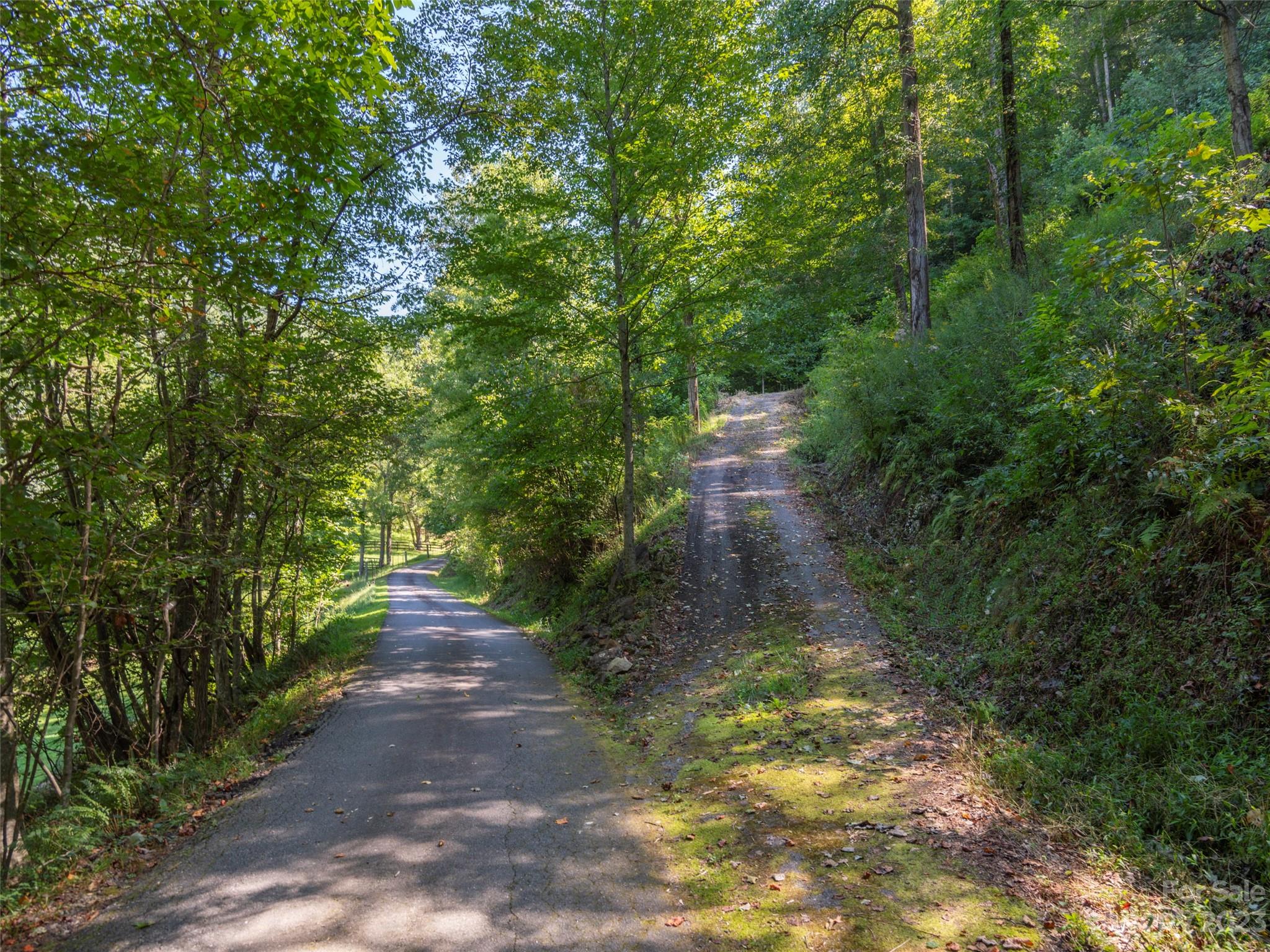 120 Walnut Ridge Drive Clyde, NC 28721 - Photo 4 of 13 a picture of trees