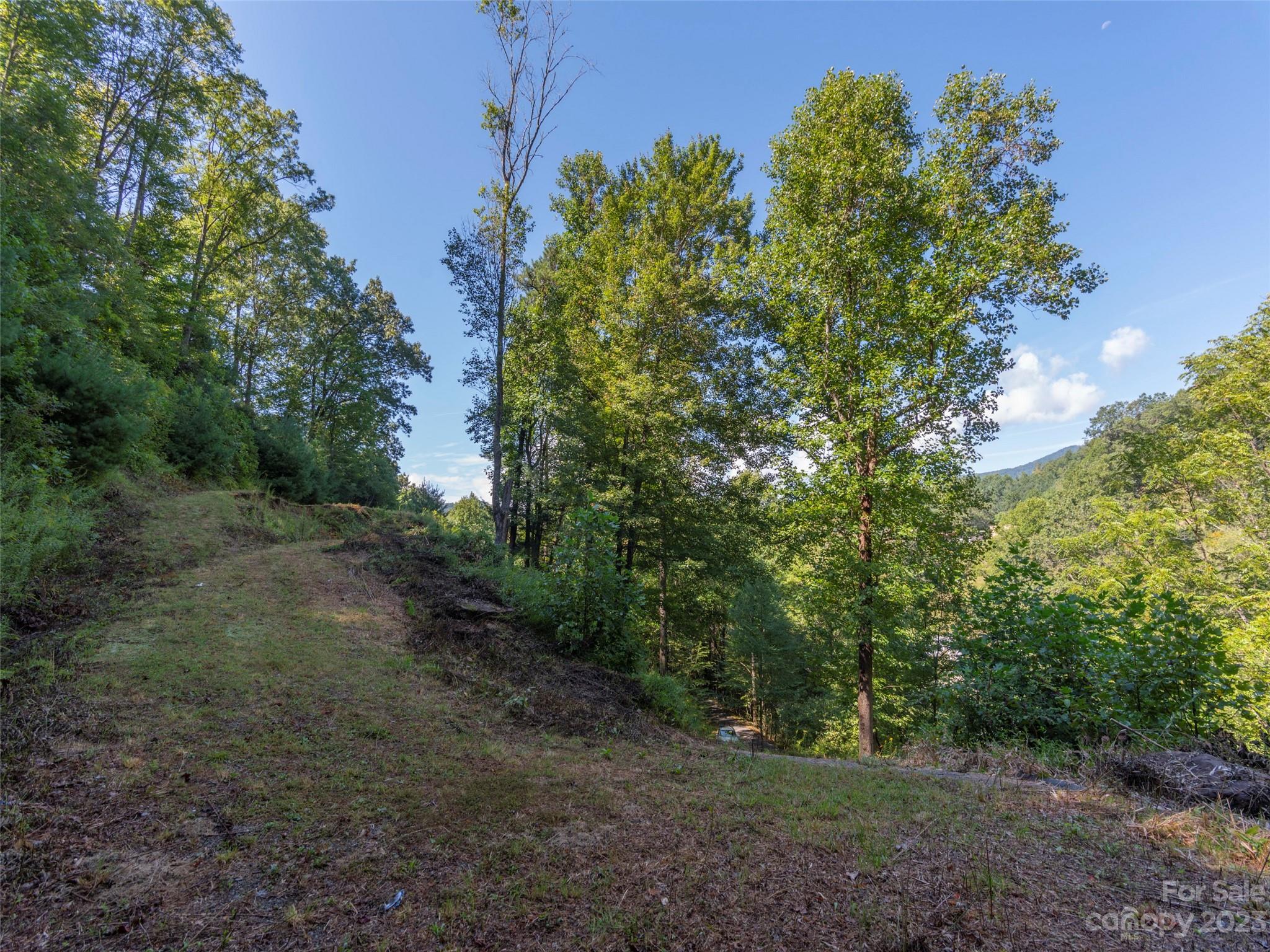 120 Walnut Ridge Drive Clyde, NC 28721 - Photo 5 of 13 a big yard with lots of green space