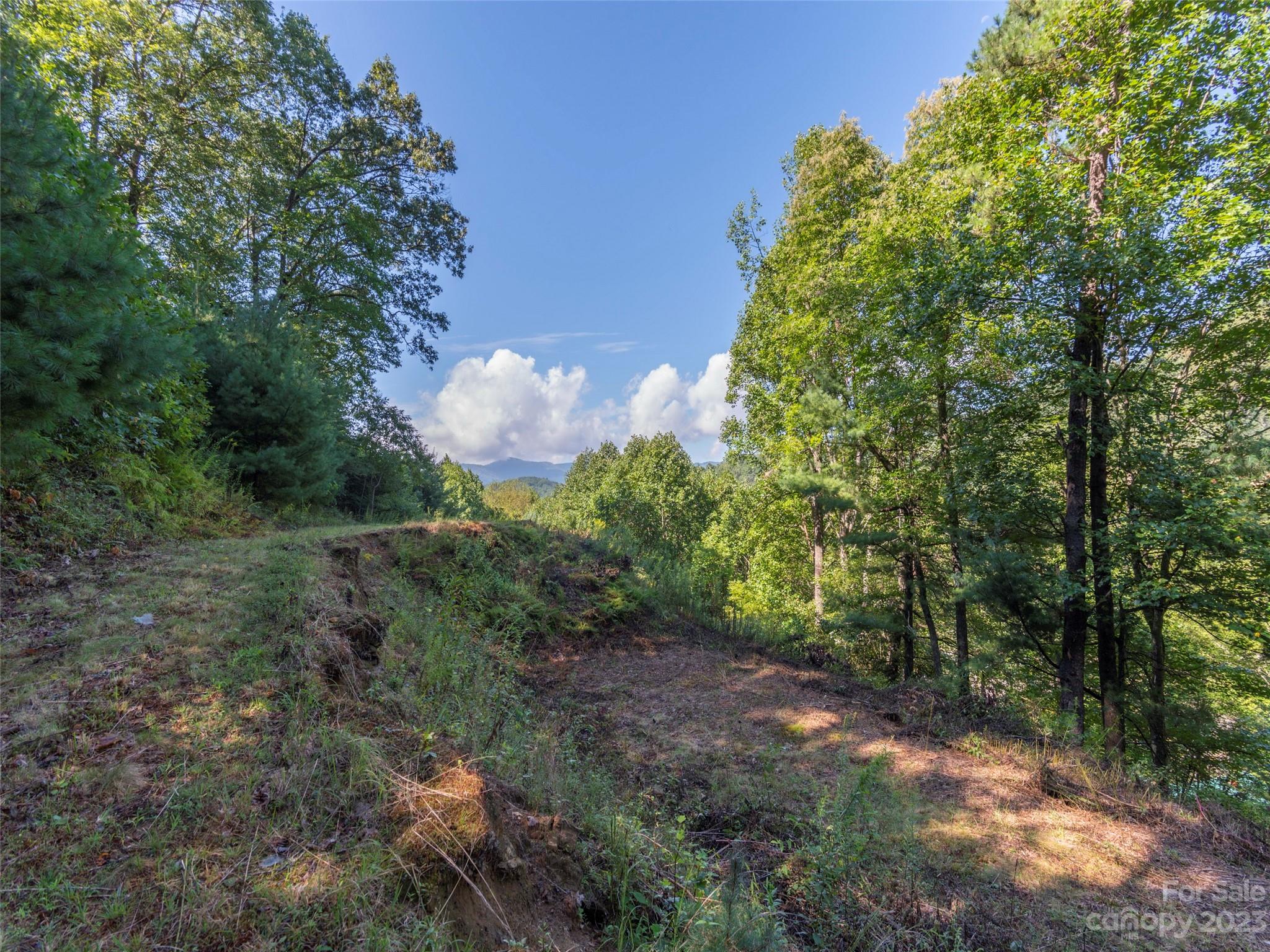 120 Walnut Ridge Drive Clyde, NC 28721 - Photo 6 of 13 a backyard of a house with lots of green space