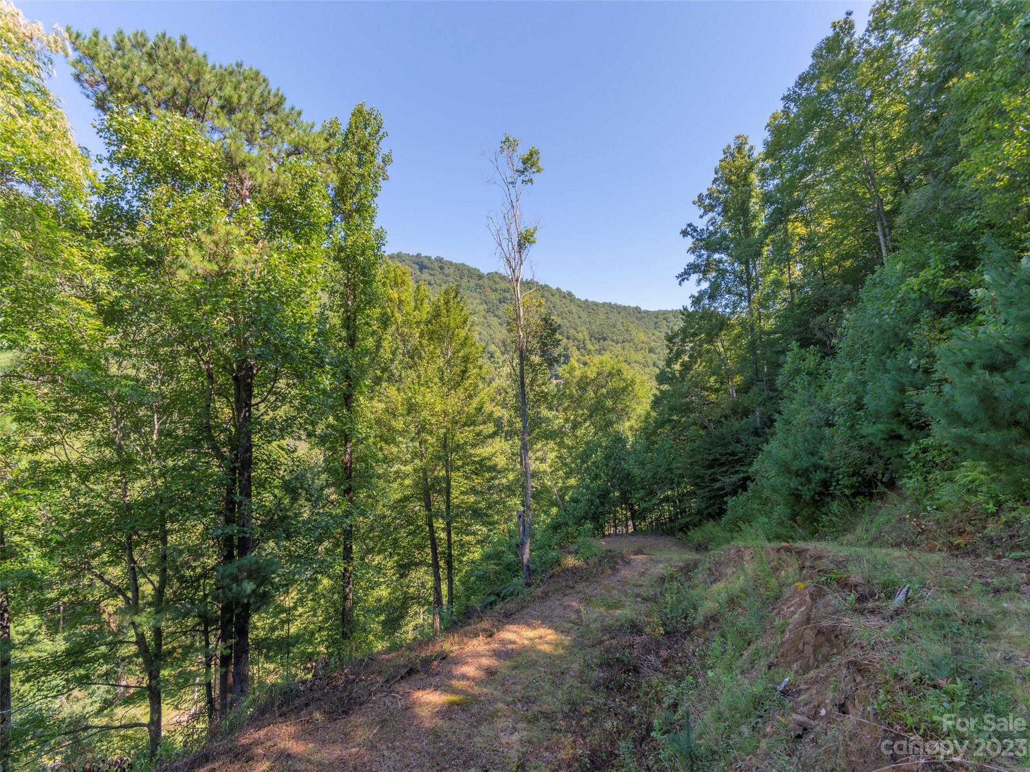 120 Walnut Ridge Drive Clyde, NC 28721 - Photo 7 of 13 a view of a city with lush green forest