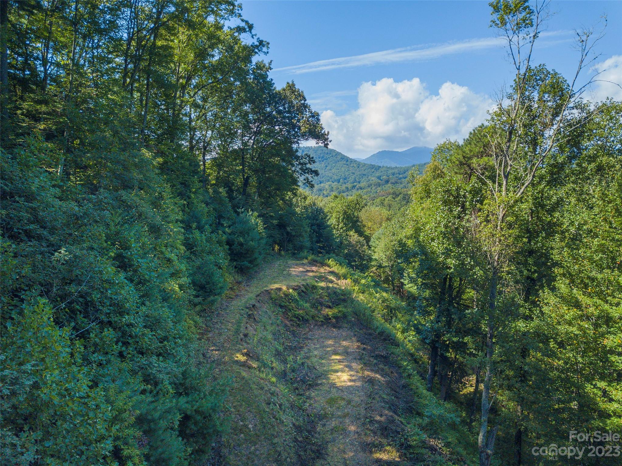 120 Walnut Ridge Drive Clyde, NC 28721 - Photo 9 of 13 a close up of a flower in a garden