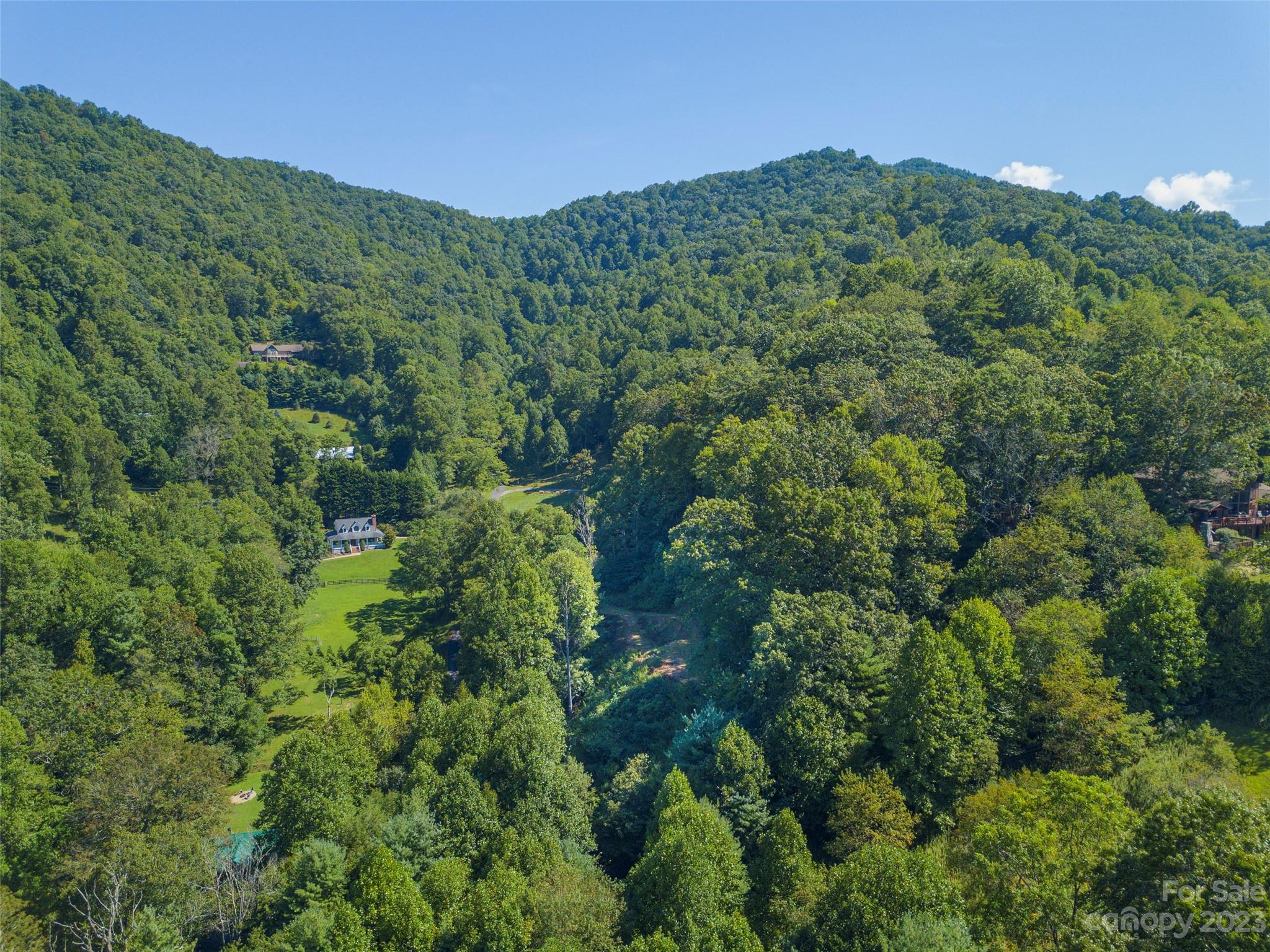 120 Walnut Ridge Drive Clyde, NC 28721 - Photo 10 of 13 a view of a lush green forest with trees in the background